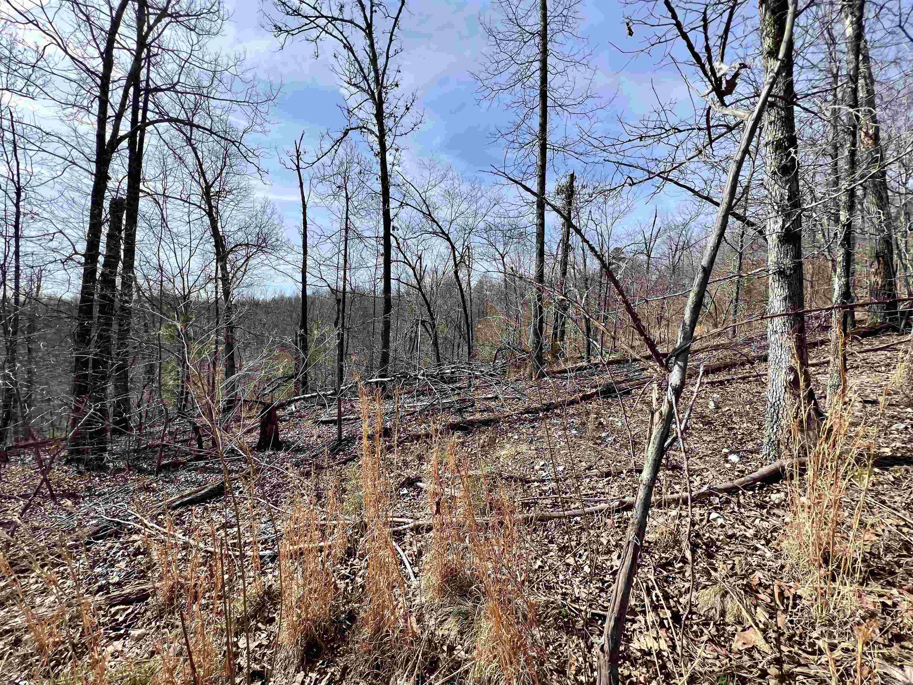 Tract 4 Ramblewood Trail Property Photo 13