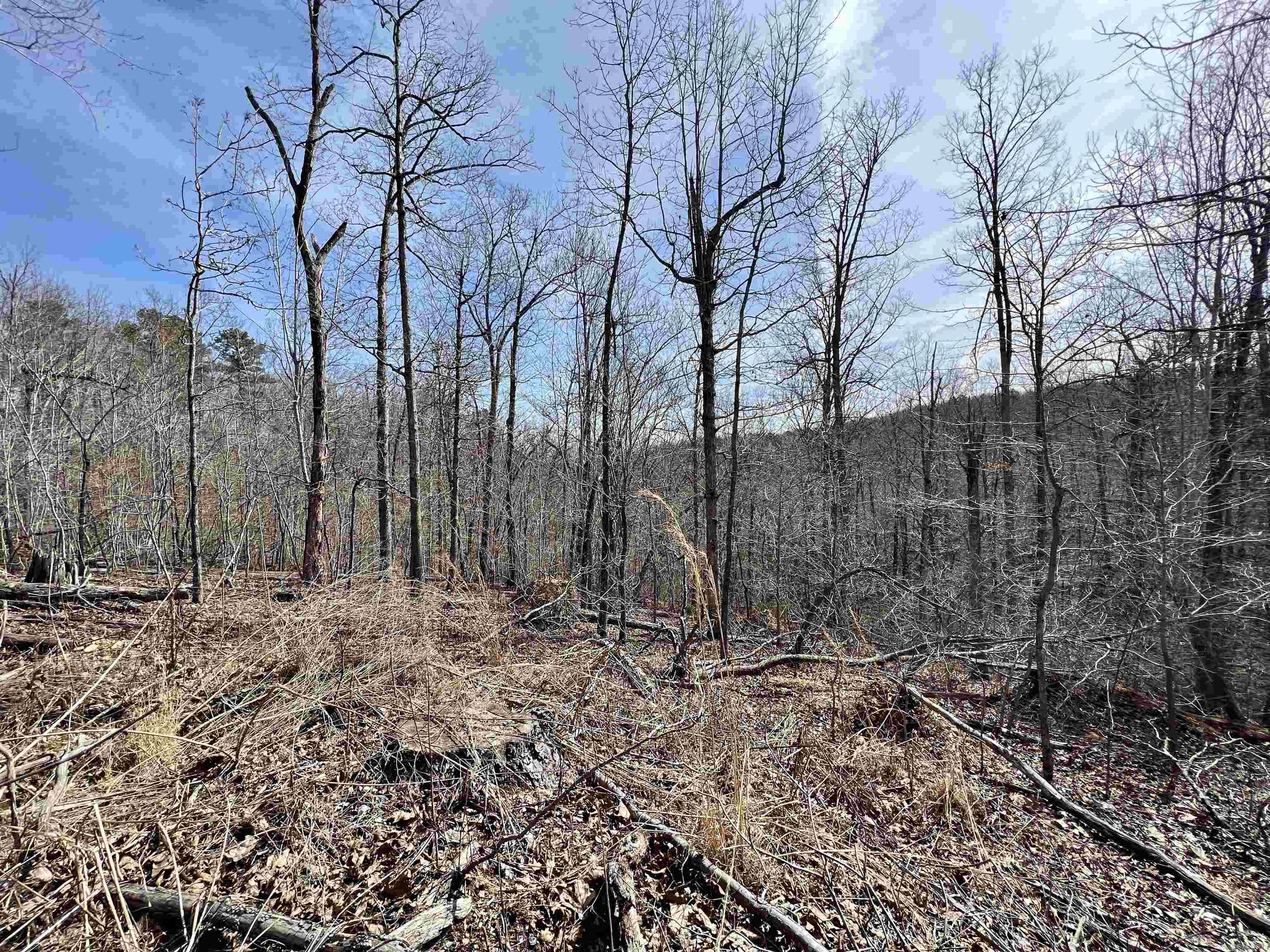 Tract 4 Ramblewood Trail Property Photo 14
