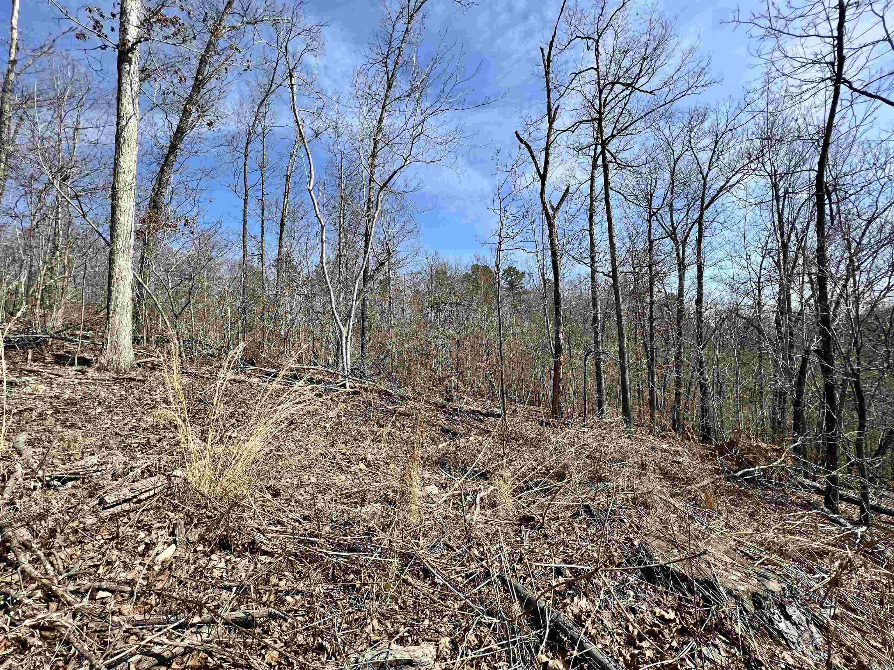 Tract 4 Ramblewood Trail Property Photo 15