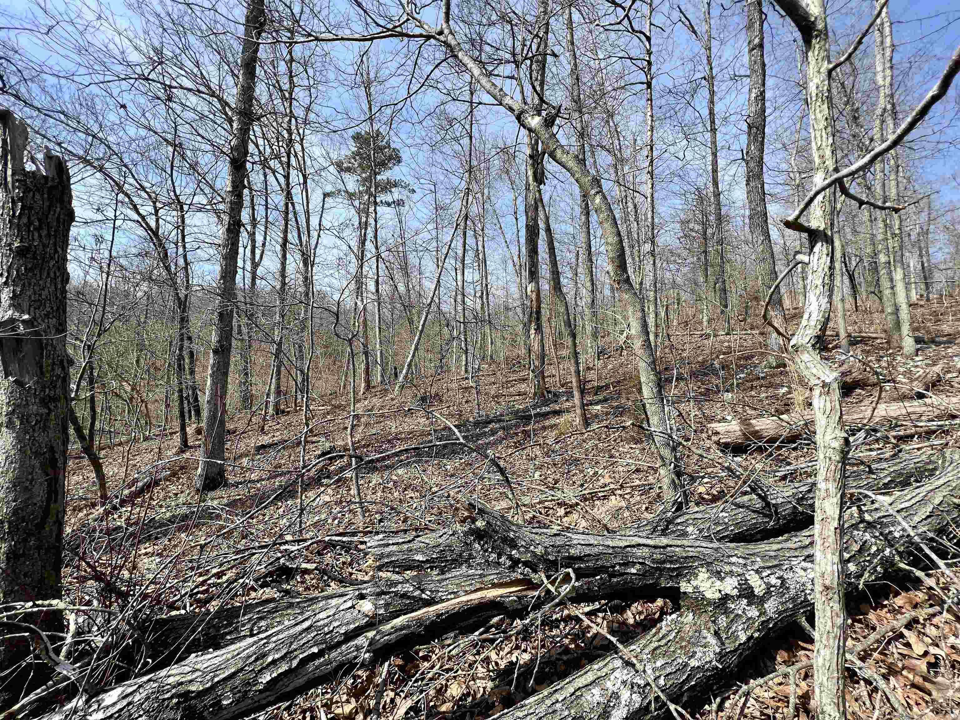 Tract 4 Ramblewood Trail Property Photo 16