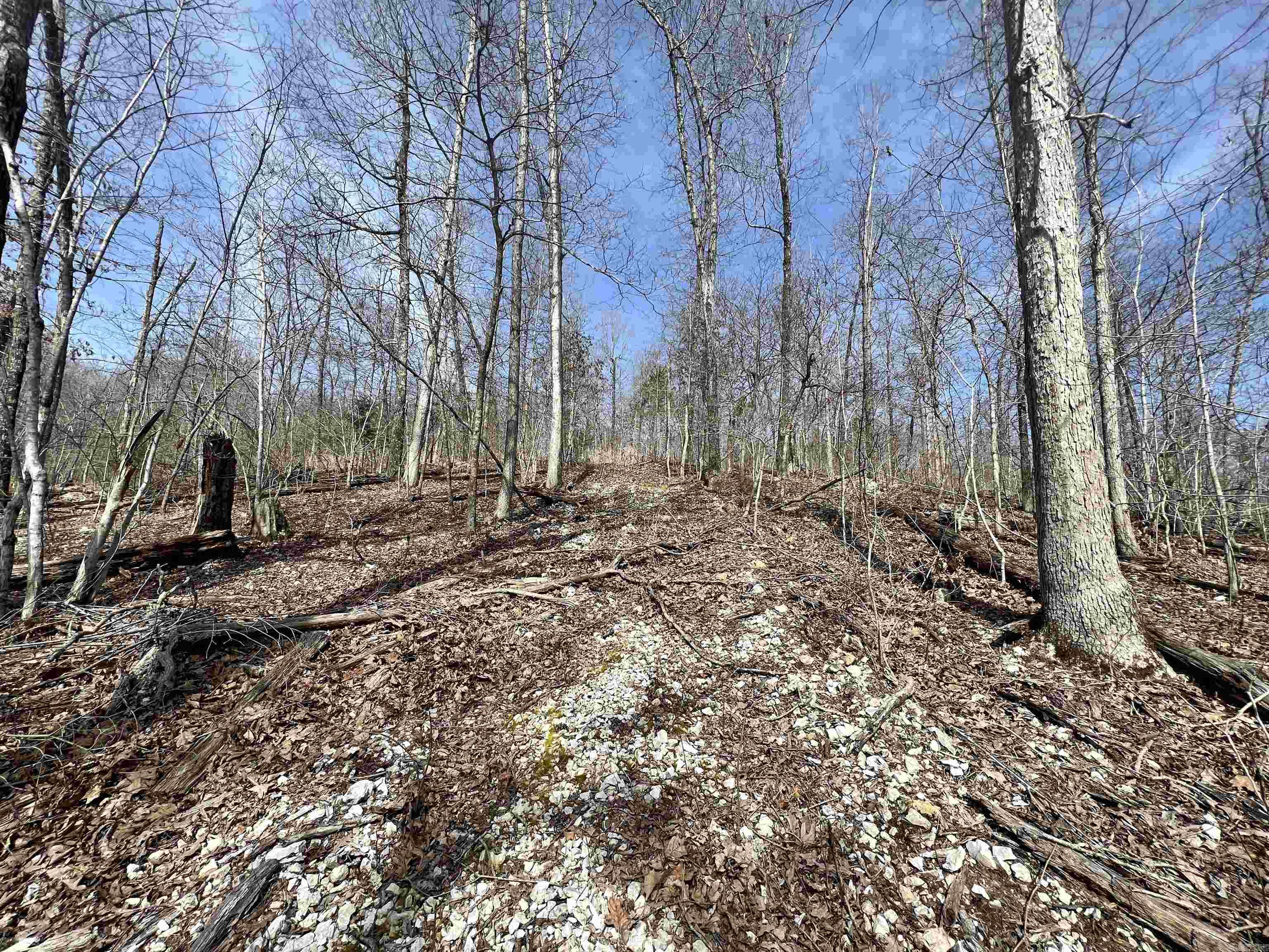 Tract 4 Ramblewood Trail Property Photo 17
