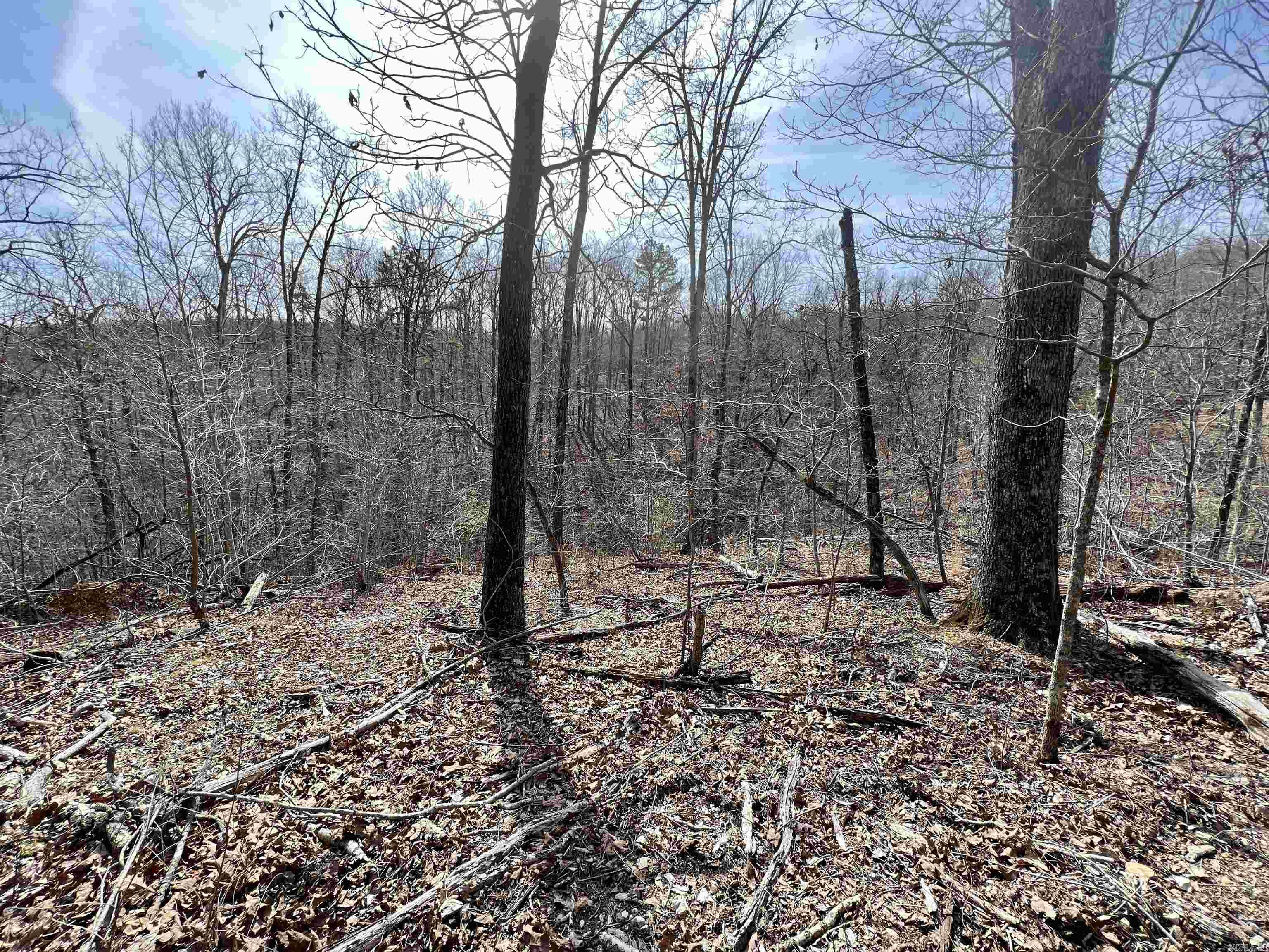 Tract 4 Ramblewood Trail Property Photo 18