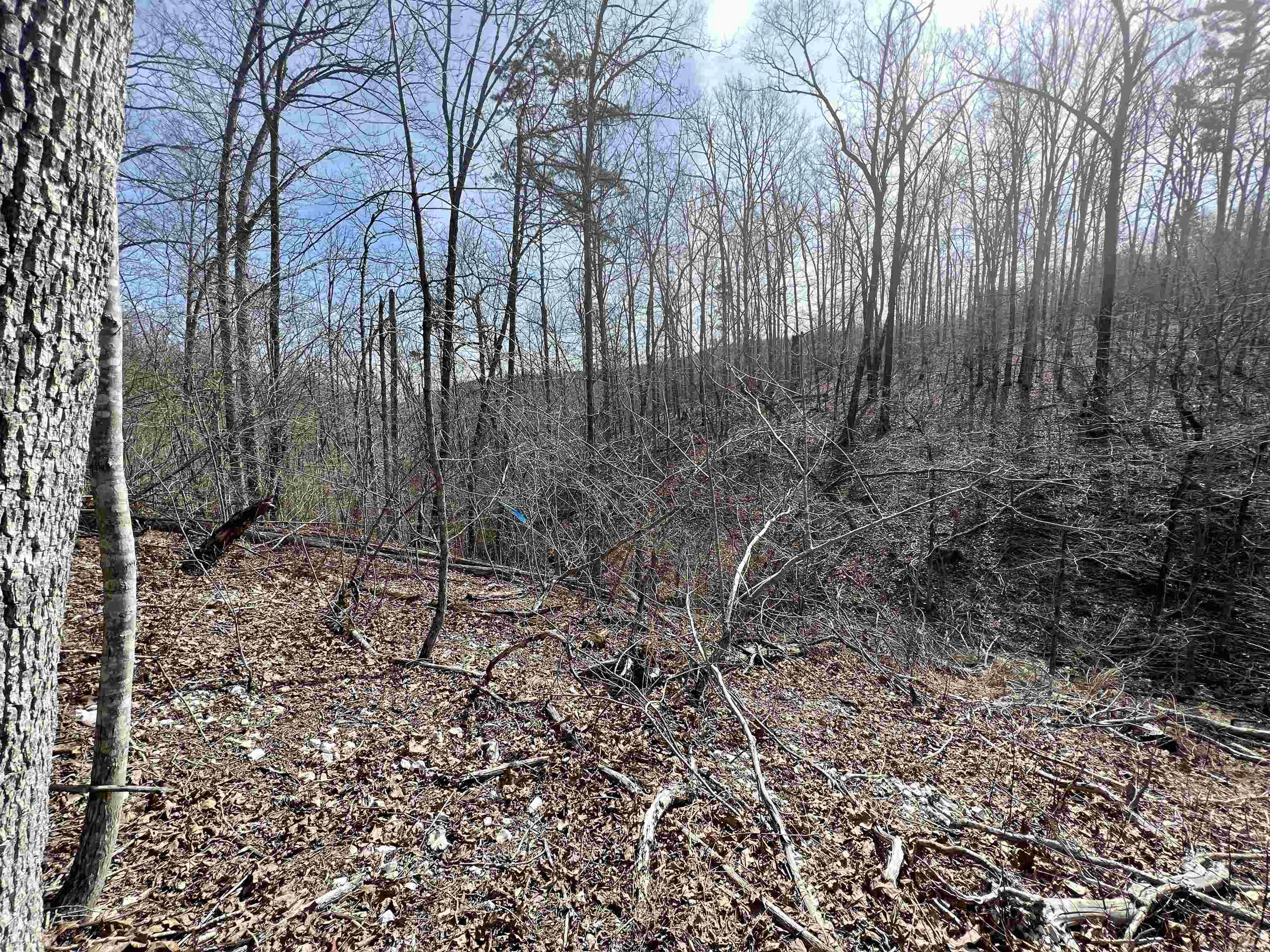 Tract 4 Ramblewood Trail Property Photo 19