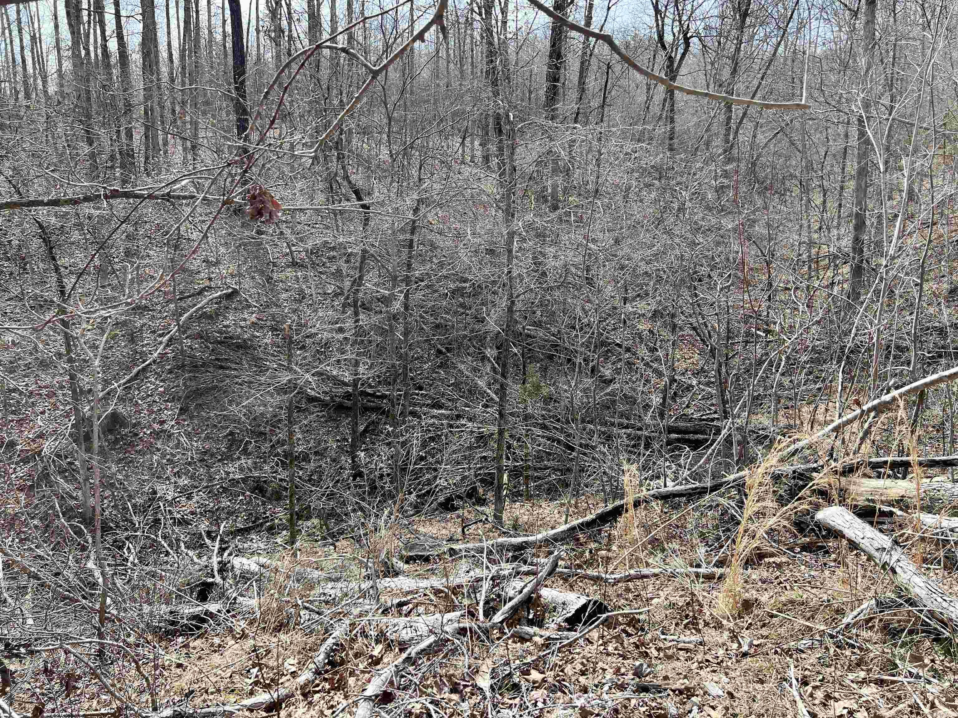 Tract 4 Ramblewood Trail Property Photo 20