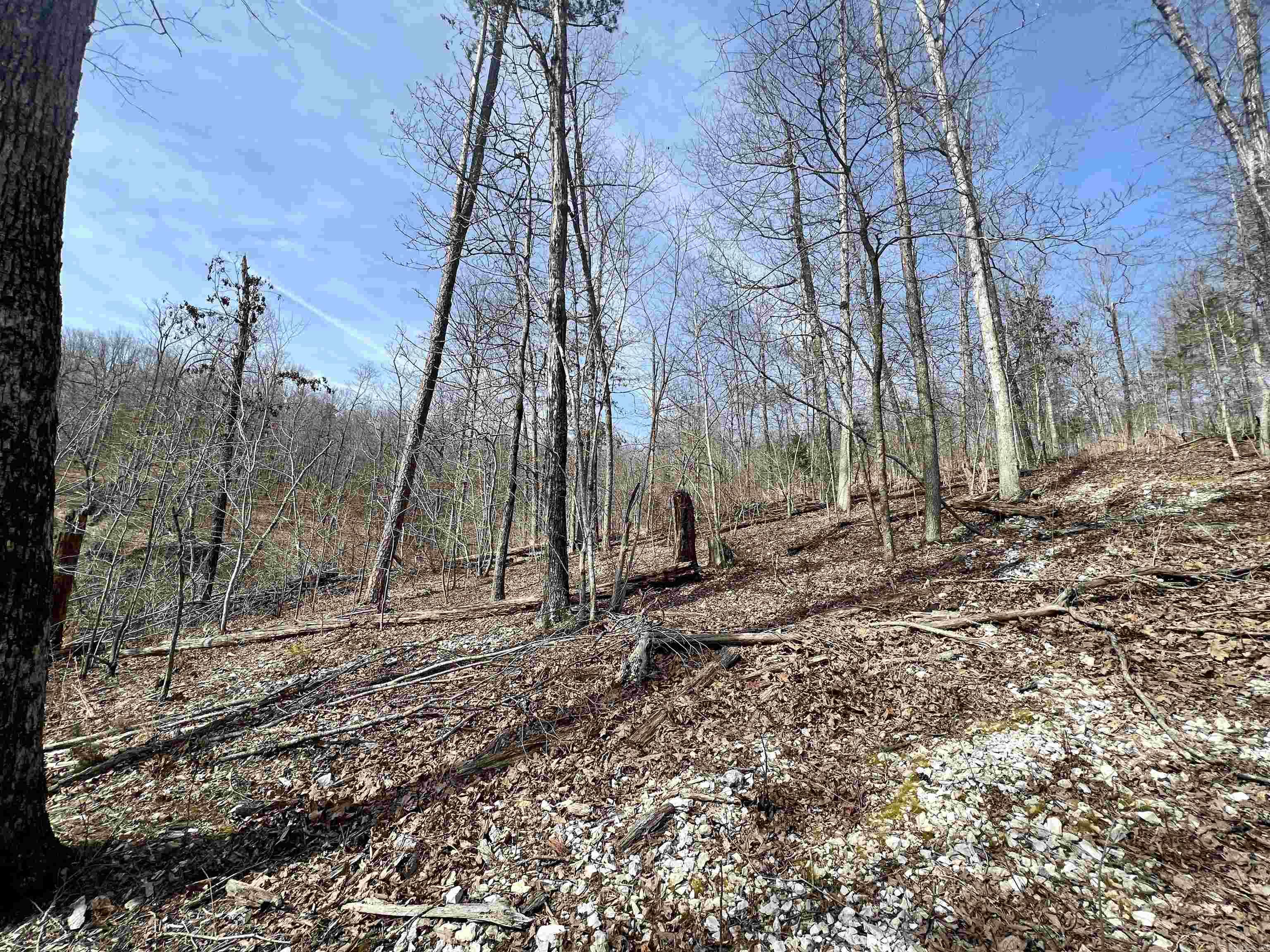 Tract 4 Ramblewood Trail Property Photo 21