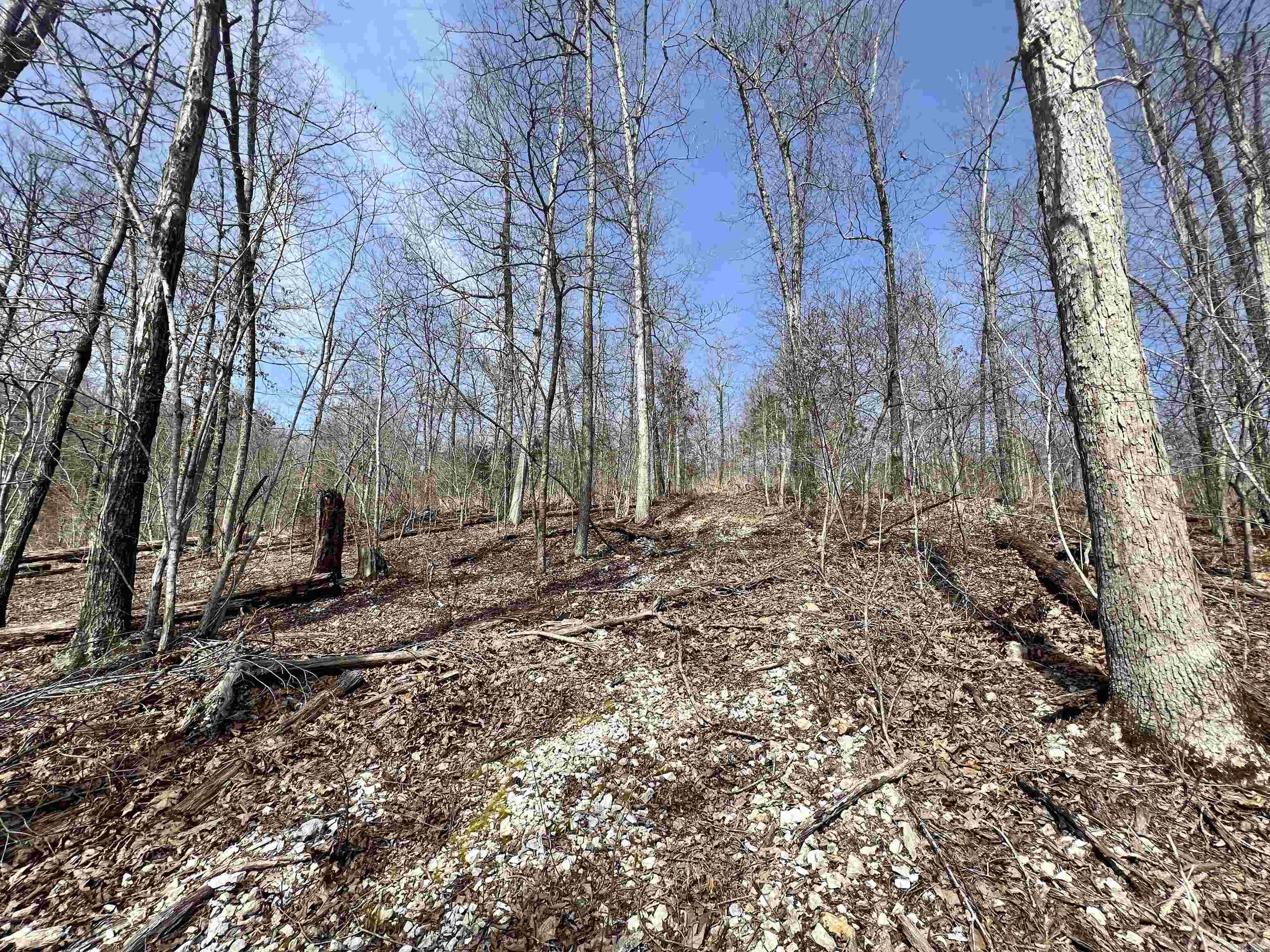 Tract 4 Ramblewood Trail Property Photo 22