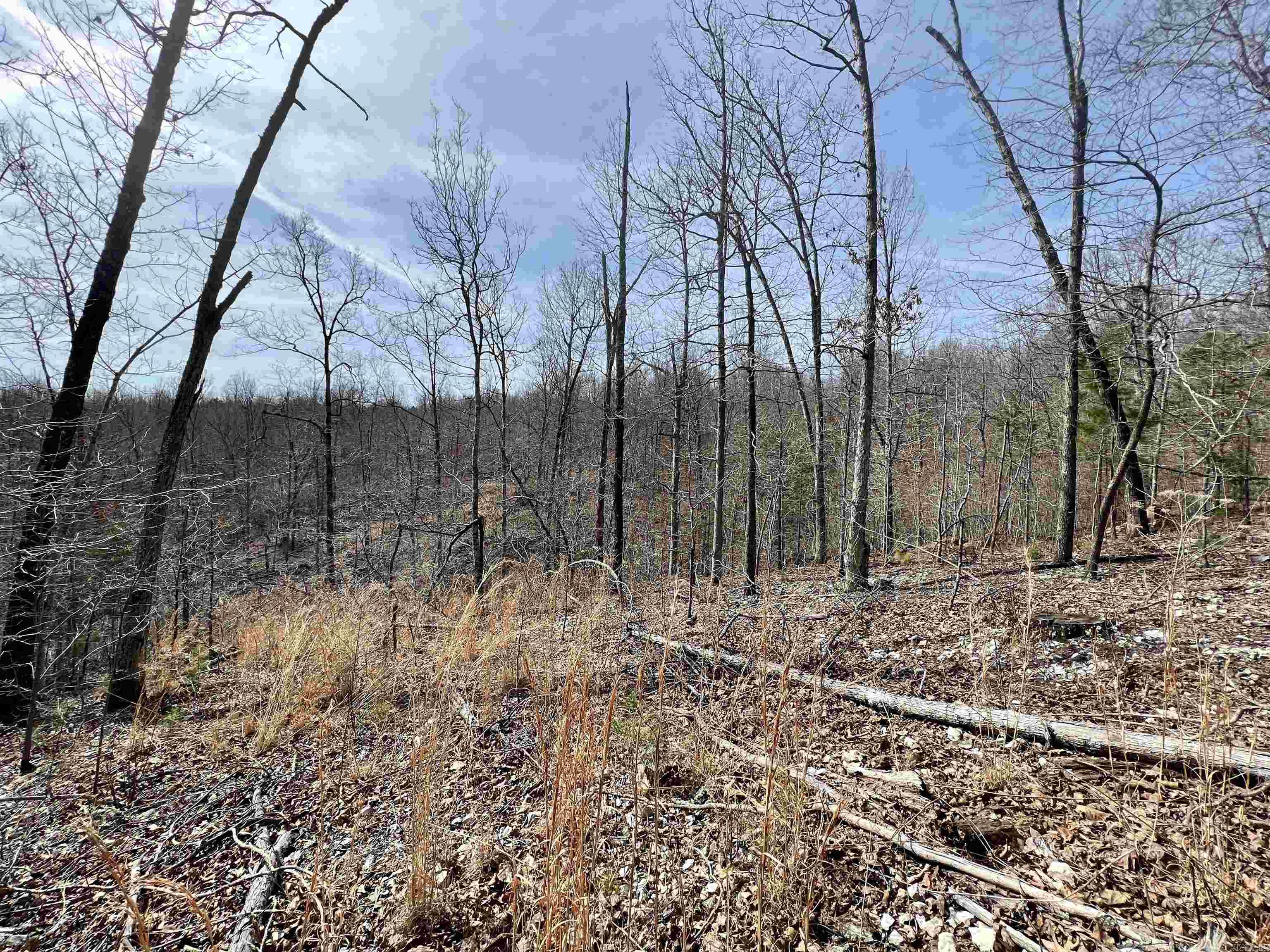 Tract 4 Ramblewood Trail Property Photo 23