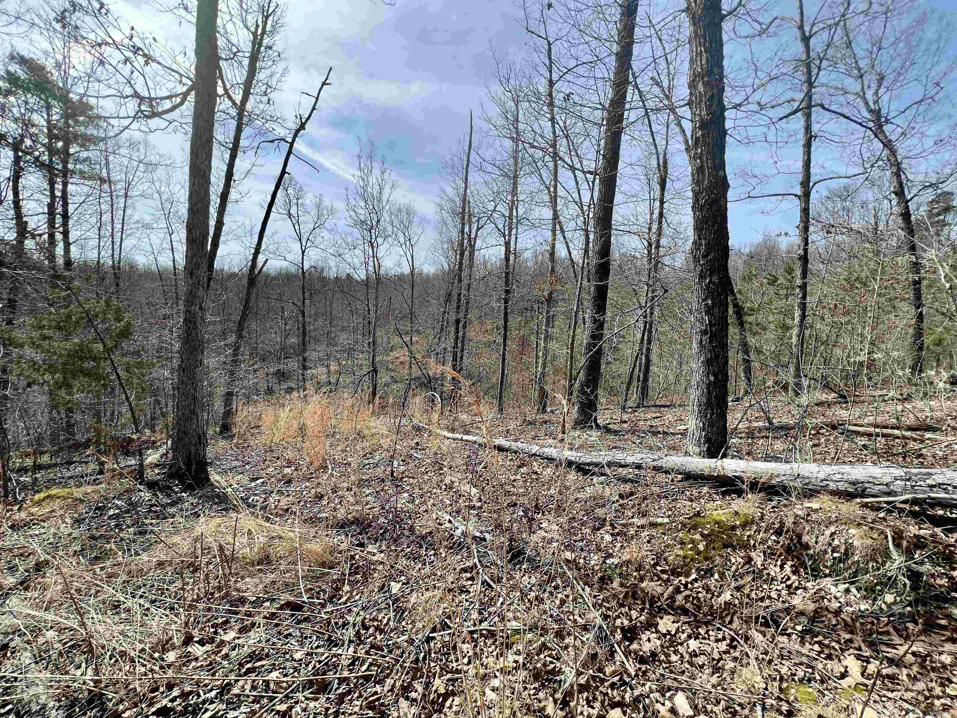 Tract 4 Ramblewood Trail Property Photo 24
