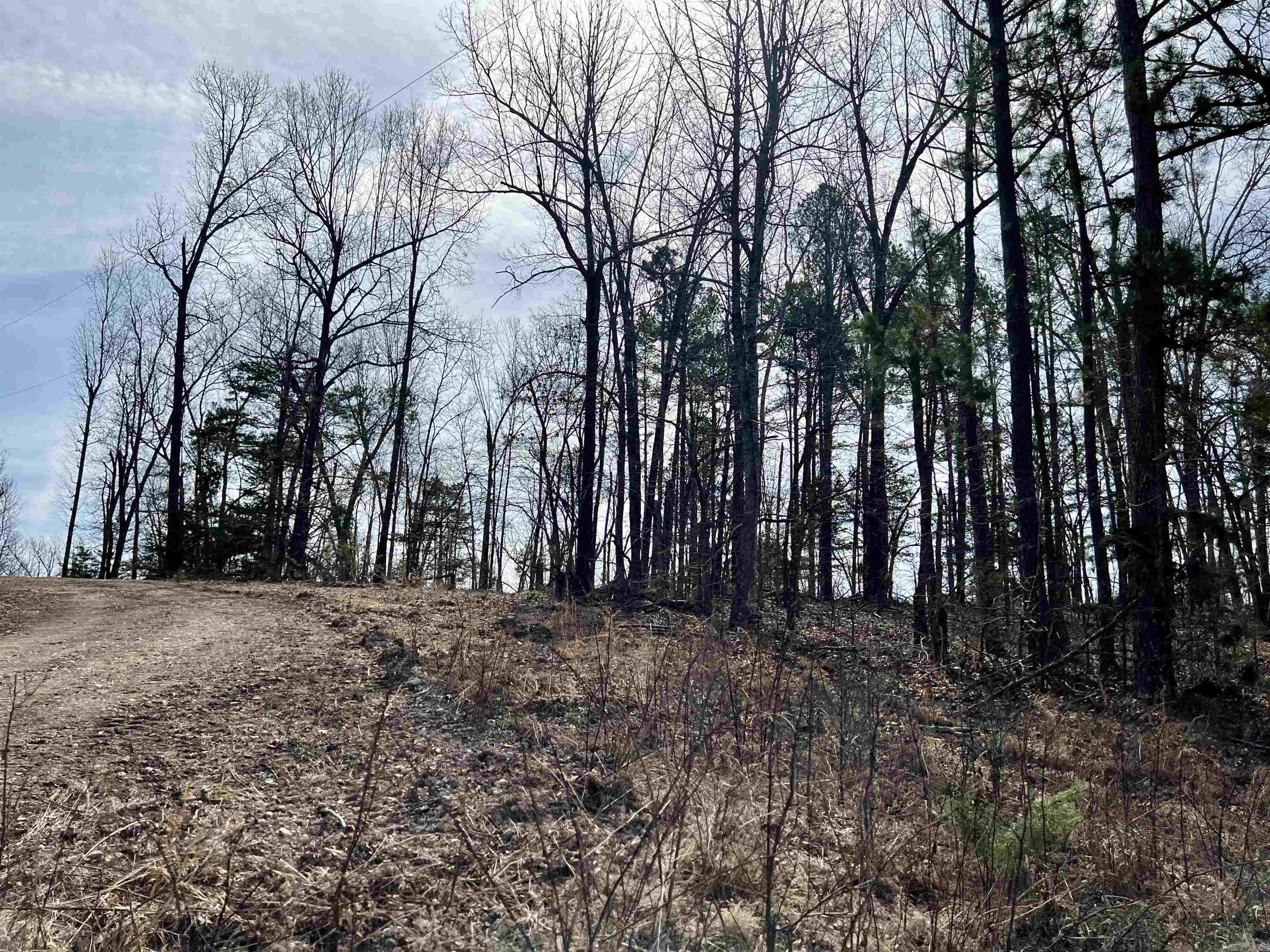 Tract 4 Ramblewood Trail Property Photo 25