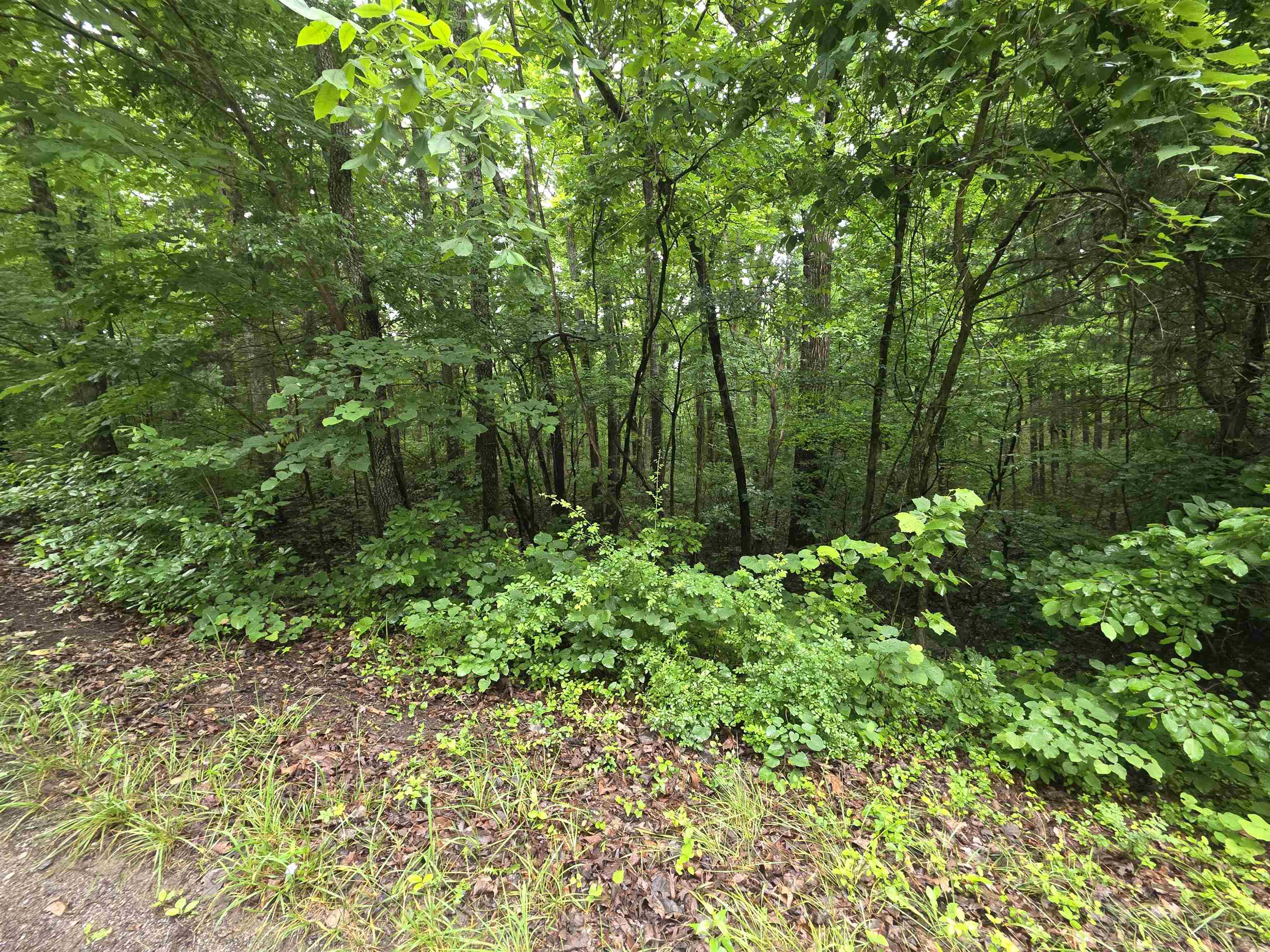 L-47, B-2 Saskatchewan Drive Property Photo 11