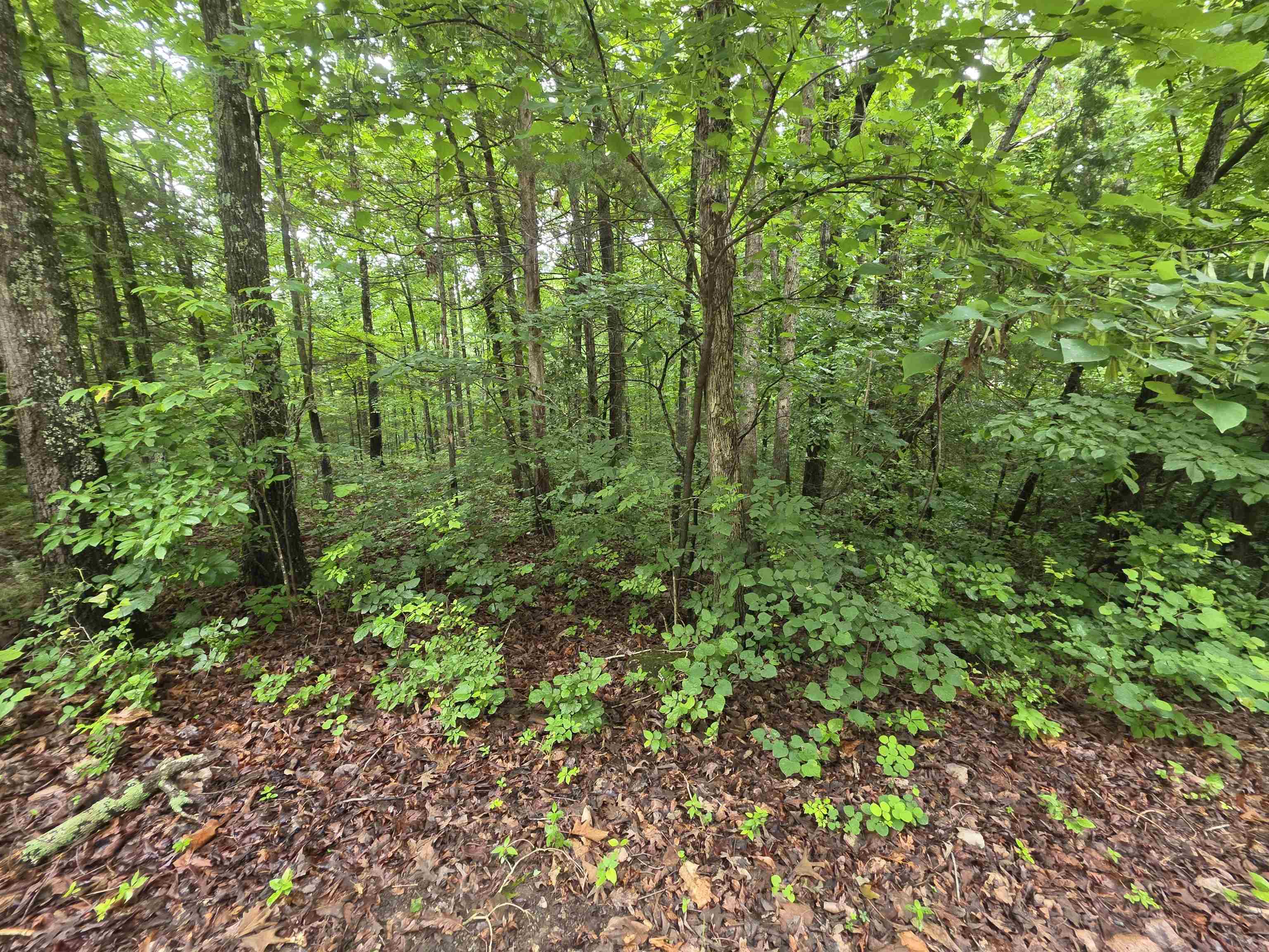 L-47, B-2 Saskatchewan Drive Property Photo 19