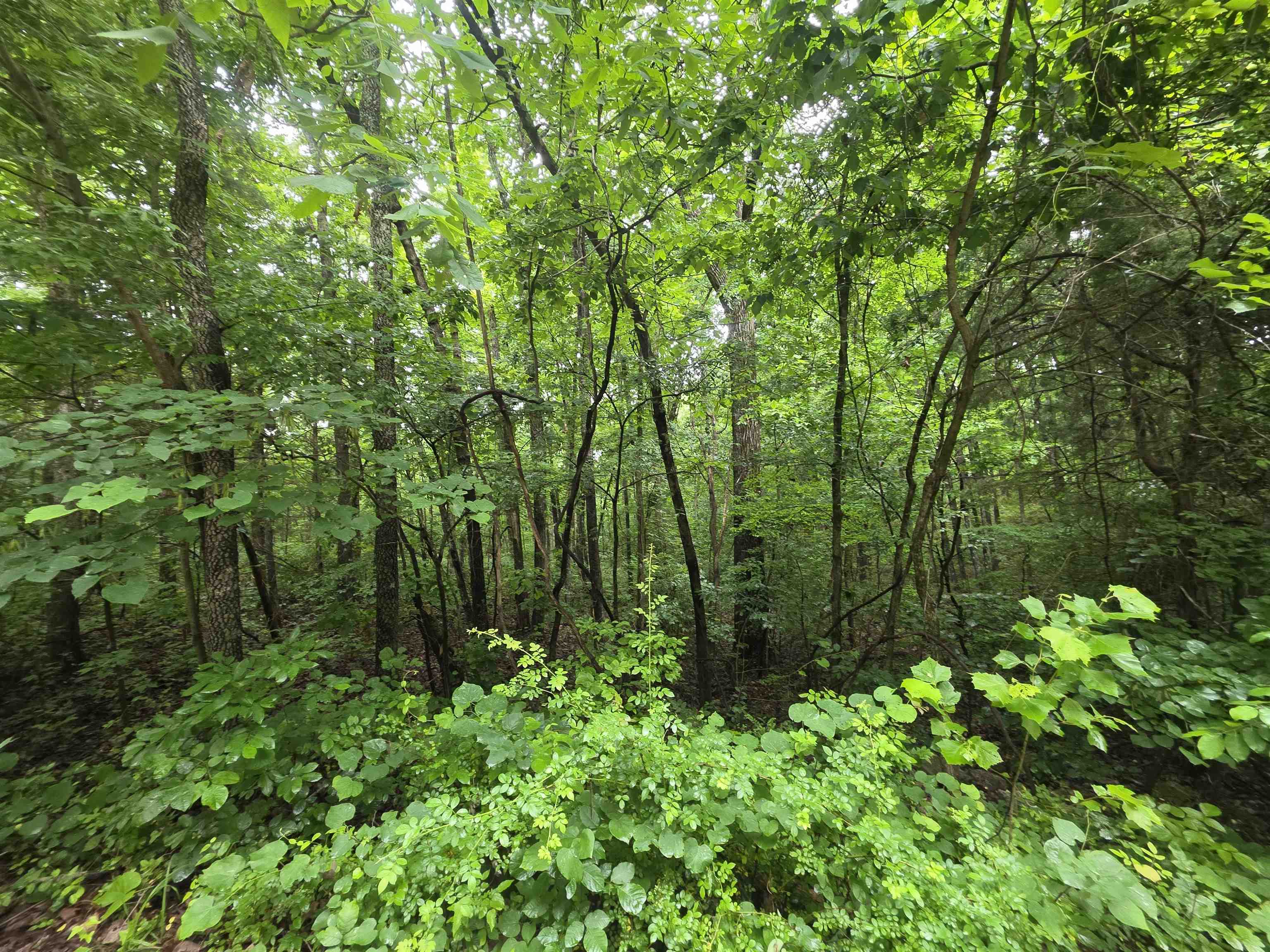 L-47, B-2 Saskatchewan Drive Property Photo 21
