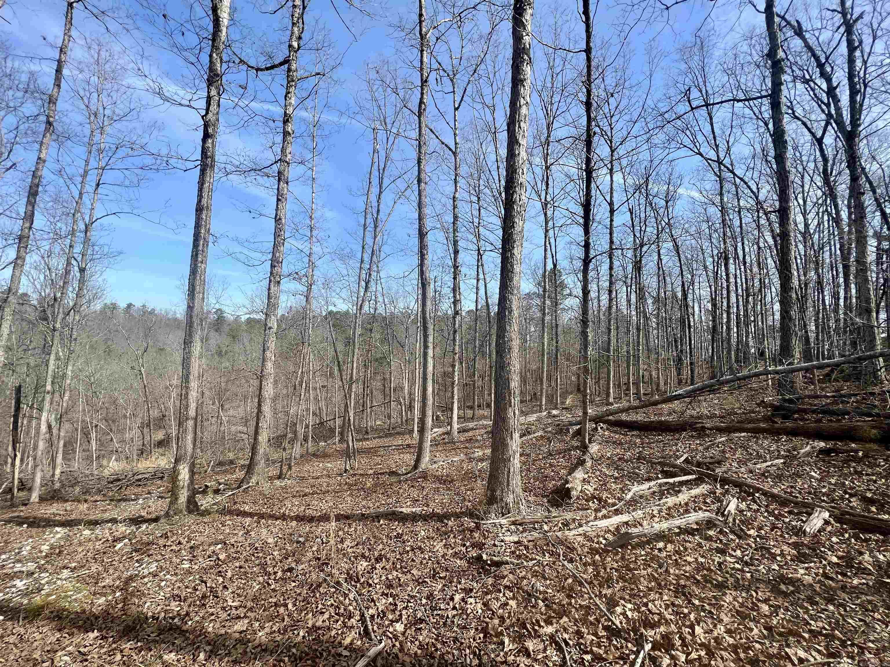 Tract 5 Ramblewood Trail Property Photo 6