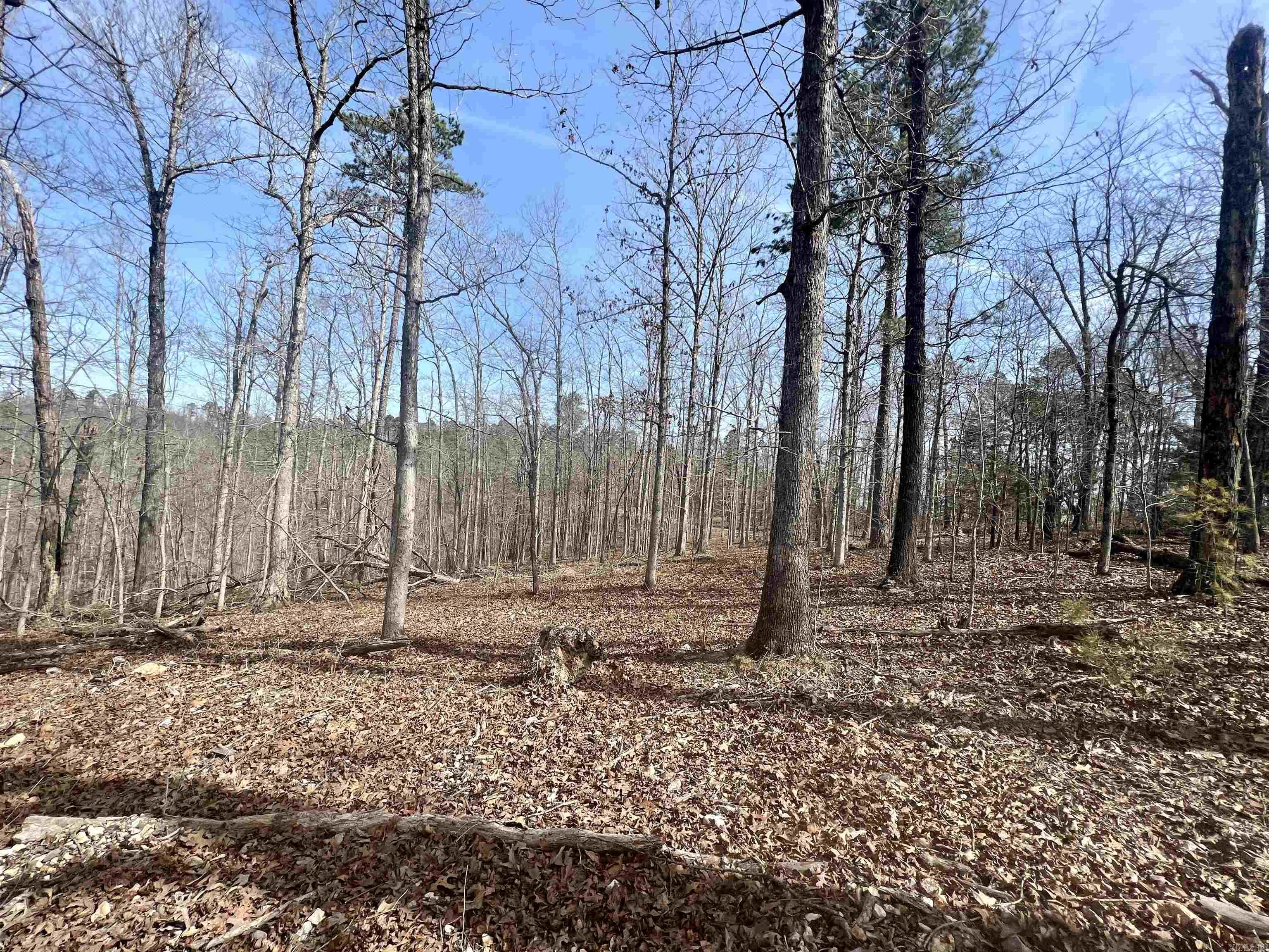 Tract 5 Ramblewood Trail Property Photo 7
