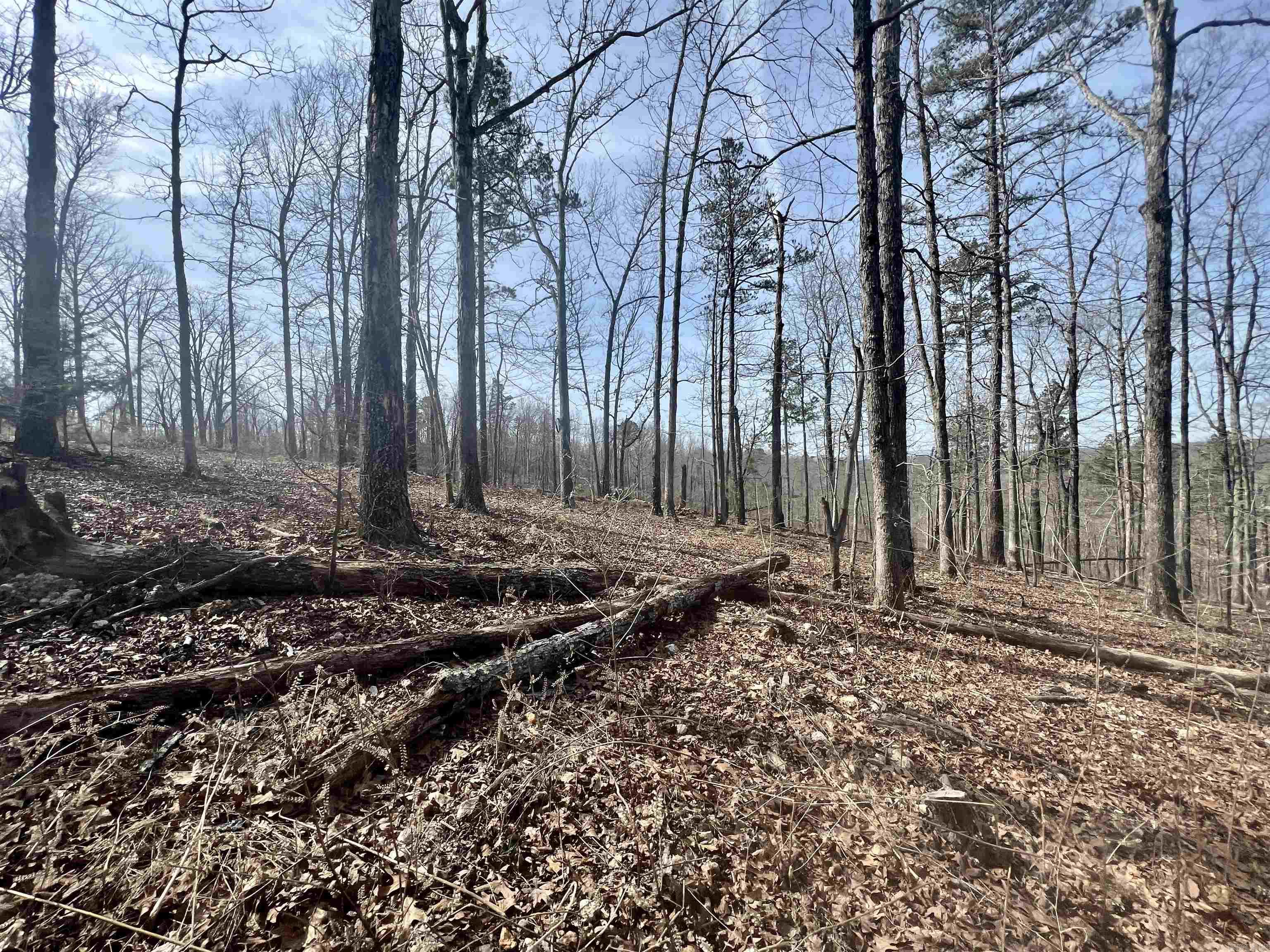 Tract 5 Ramblewood Trail Property Photo 8