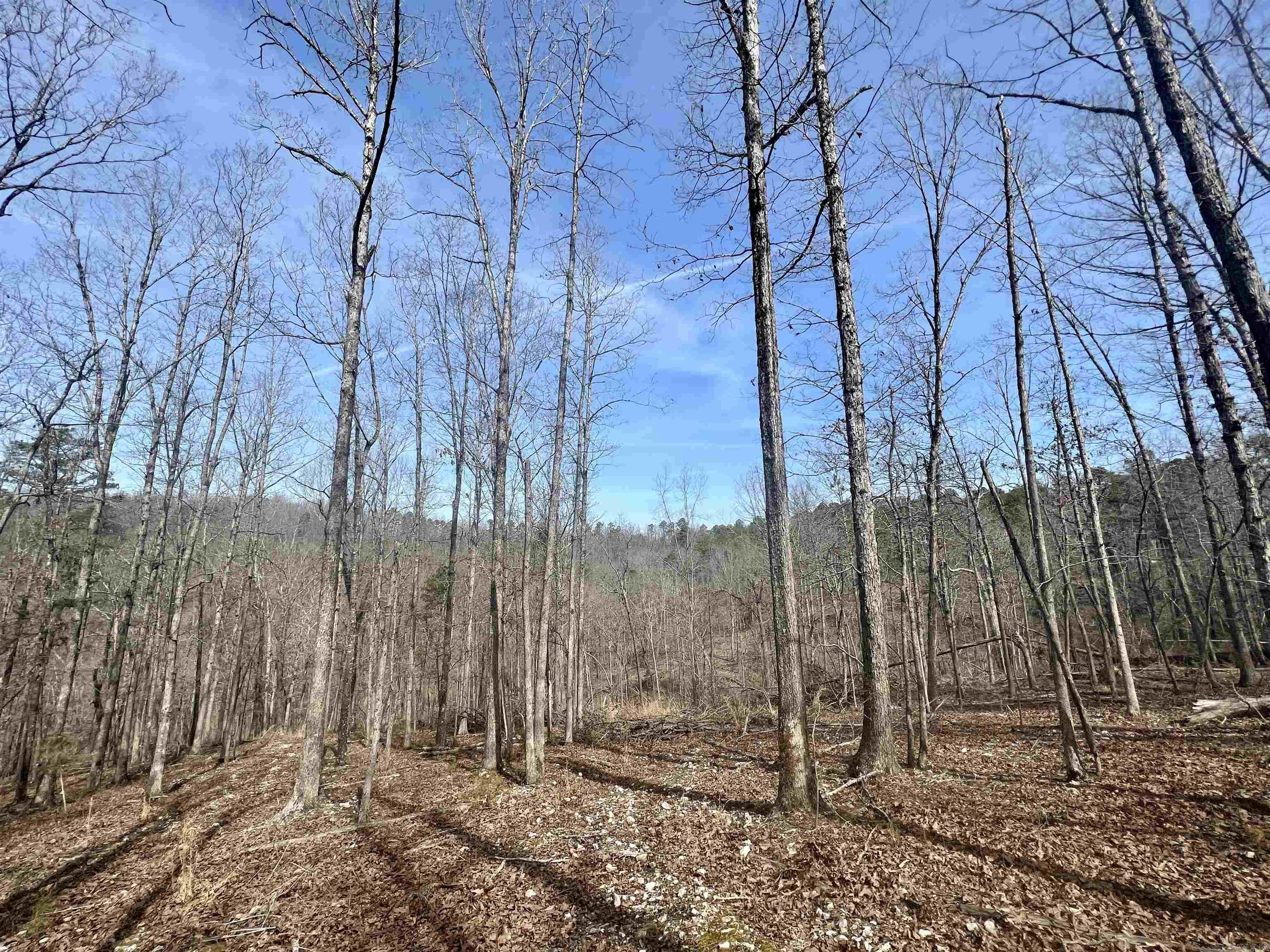 Tract 5 Ramblewood Trail Property Photo 10