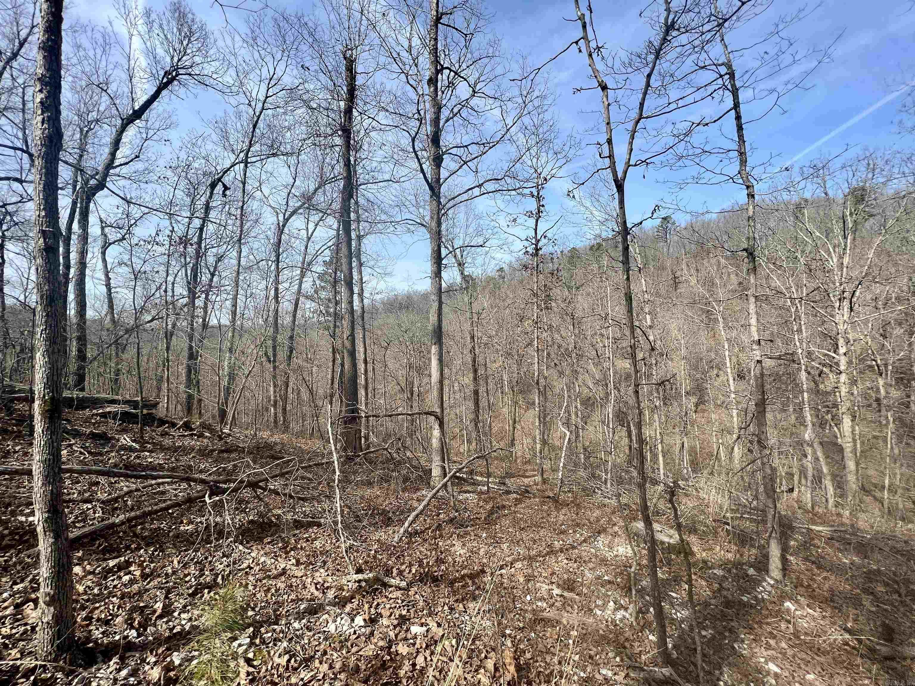 Tract 5 Ramblewood Trail Property Photo 15