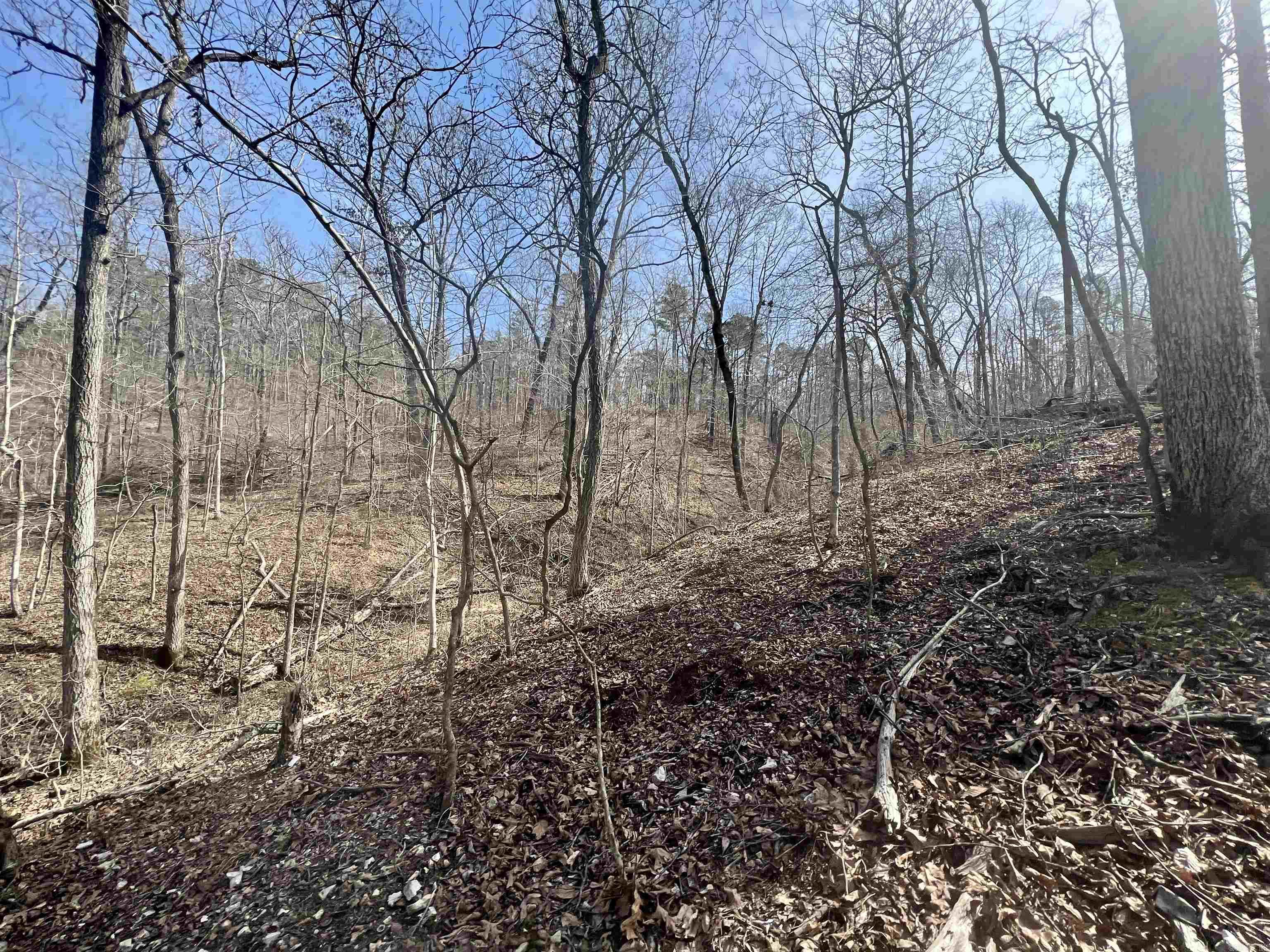 Tract 5 Ramblewood Trail Property Photo 19