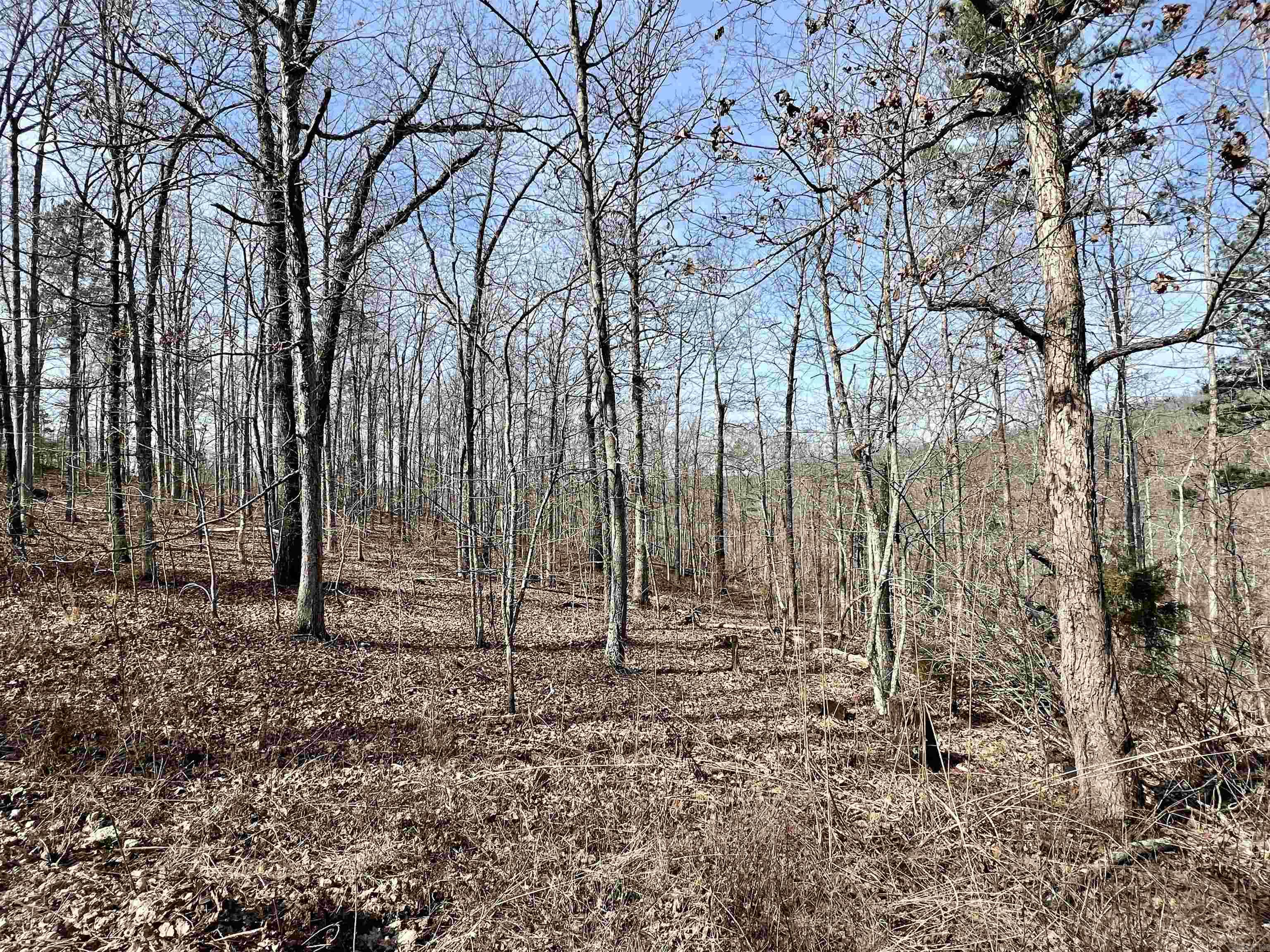 Tract 5 Ramblewood Trail Property Photo 25