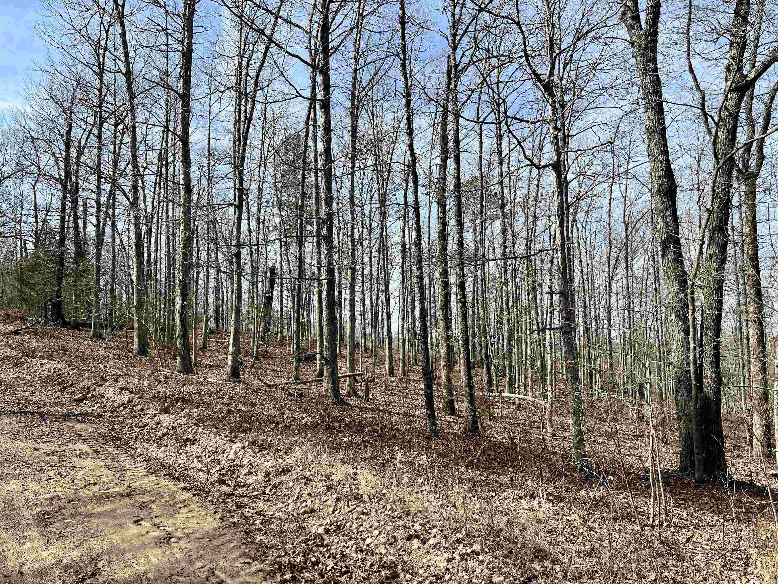 Tract 5 Ramblewood Trail Property Photo 27