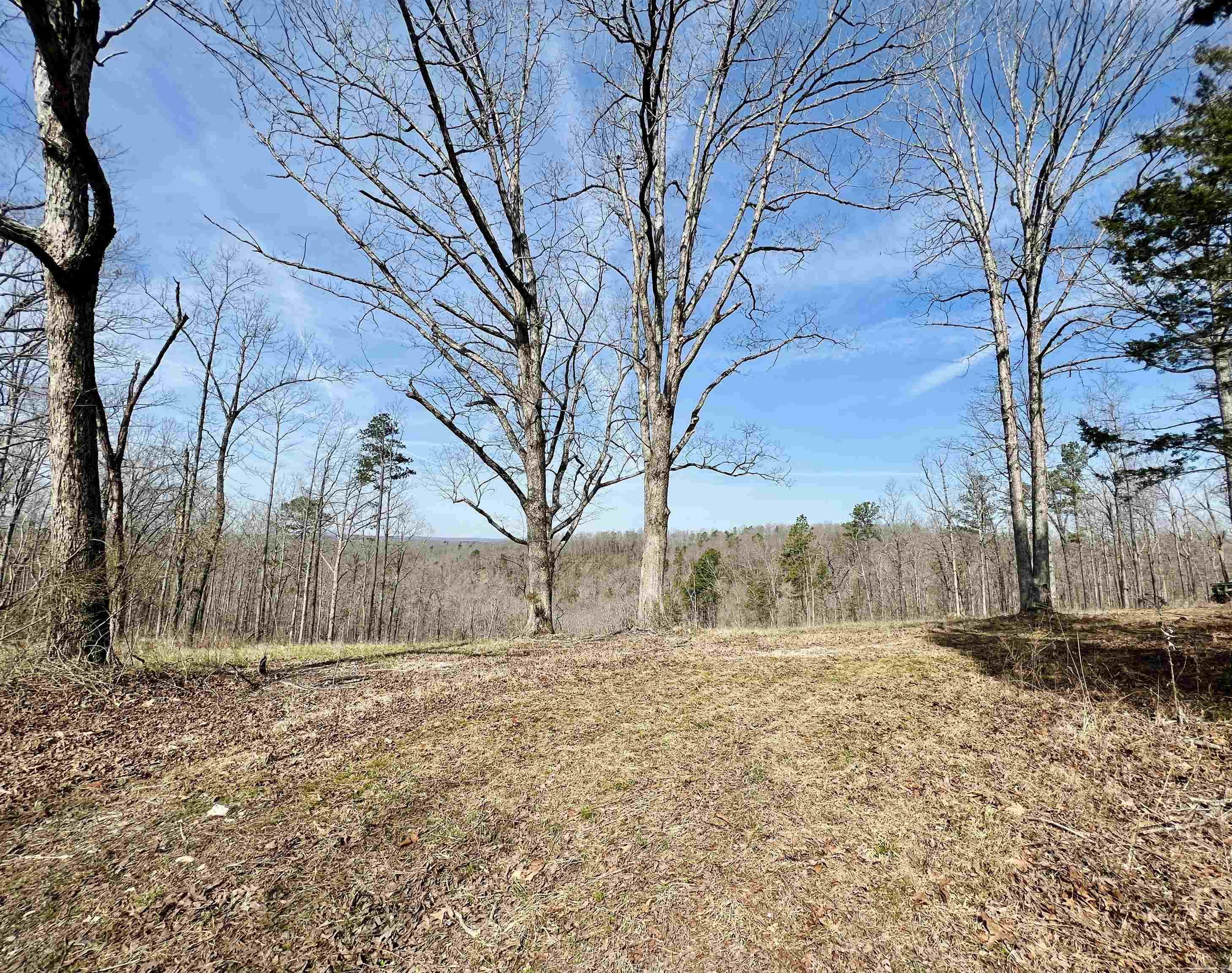 Tract 5 Ramblewood Trail Property Photo 29