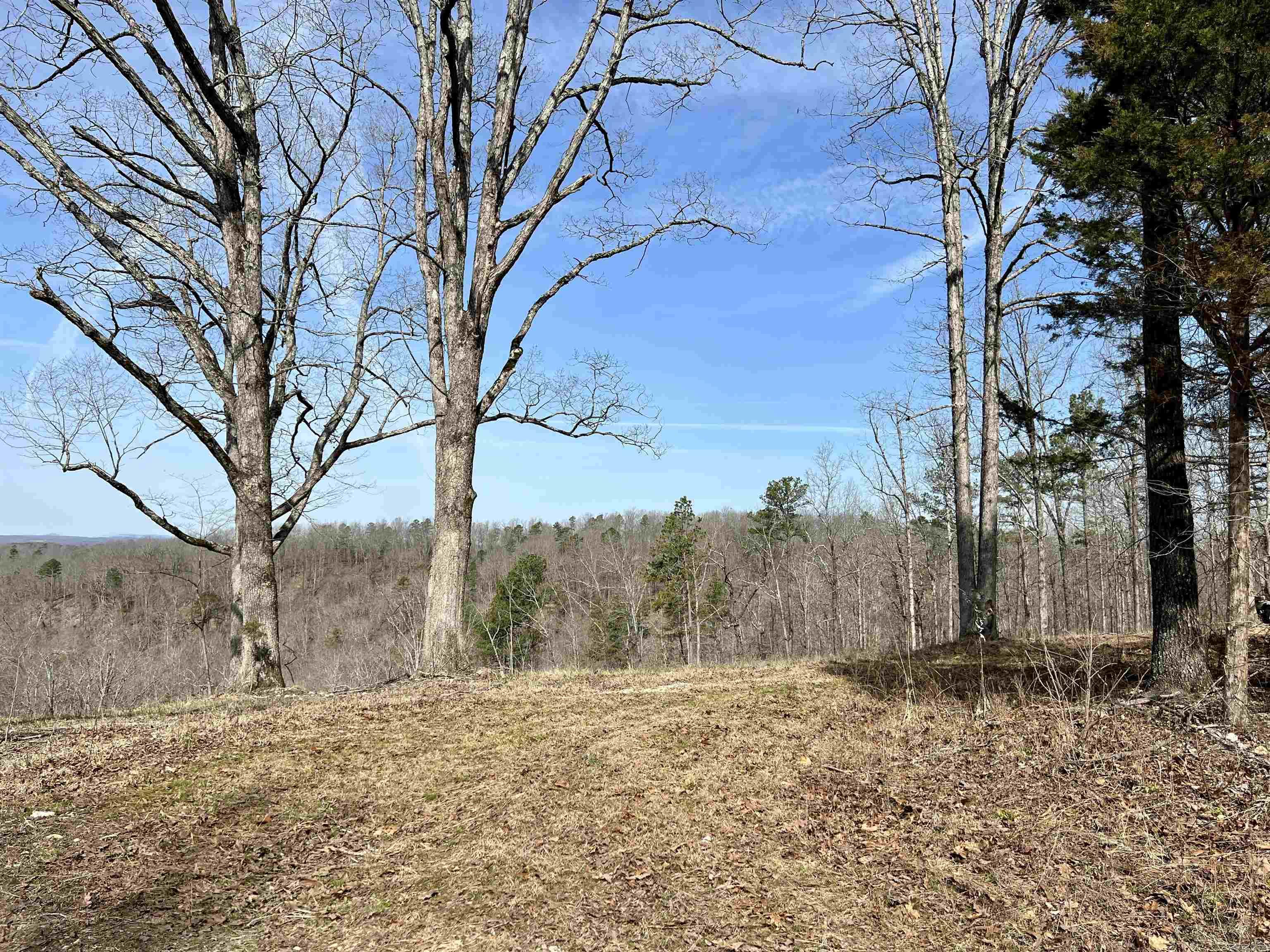 Tract 5 Ramblewood Trail Property Photo 31