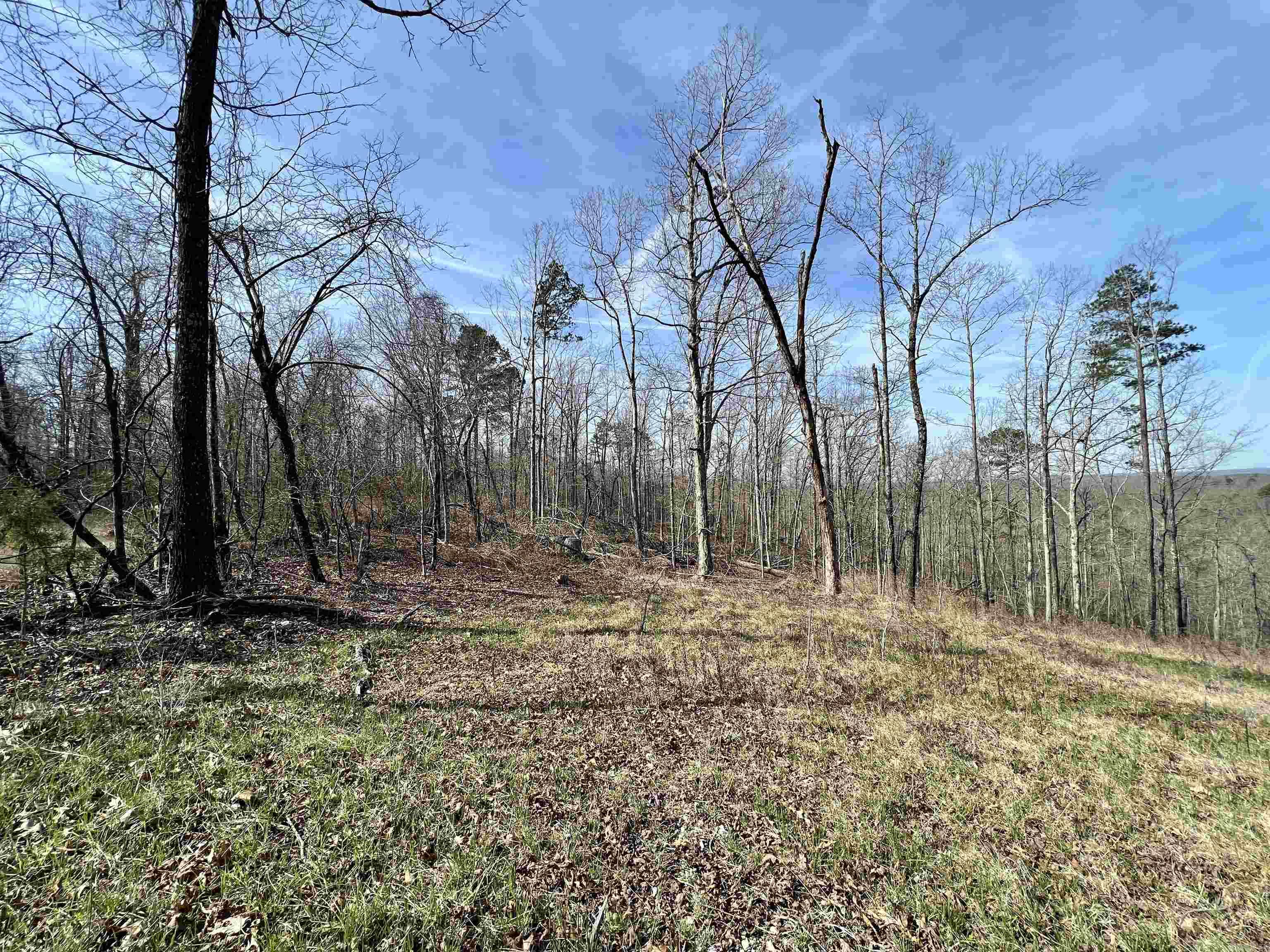 Tract 5 Ramblewood Trail Property Photo 33