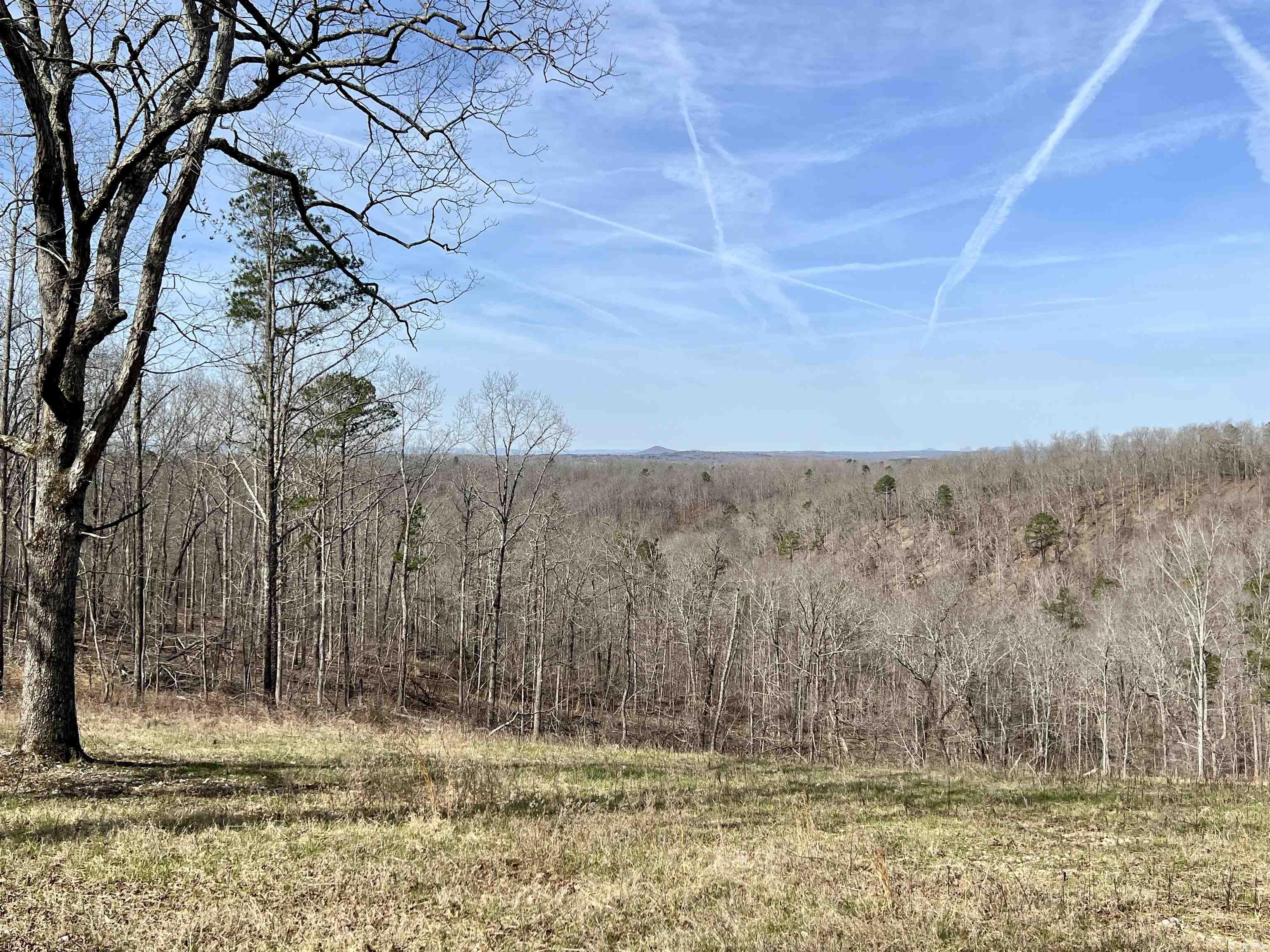 Tract 5 Ramblewood Trail Property Photo 34