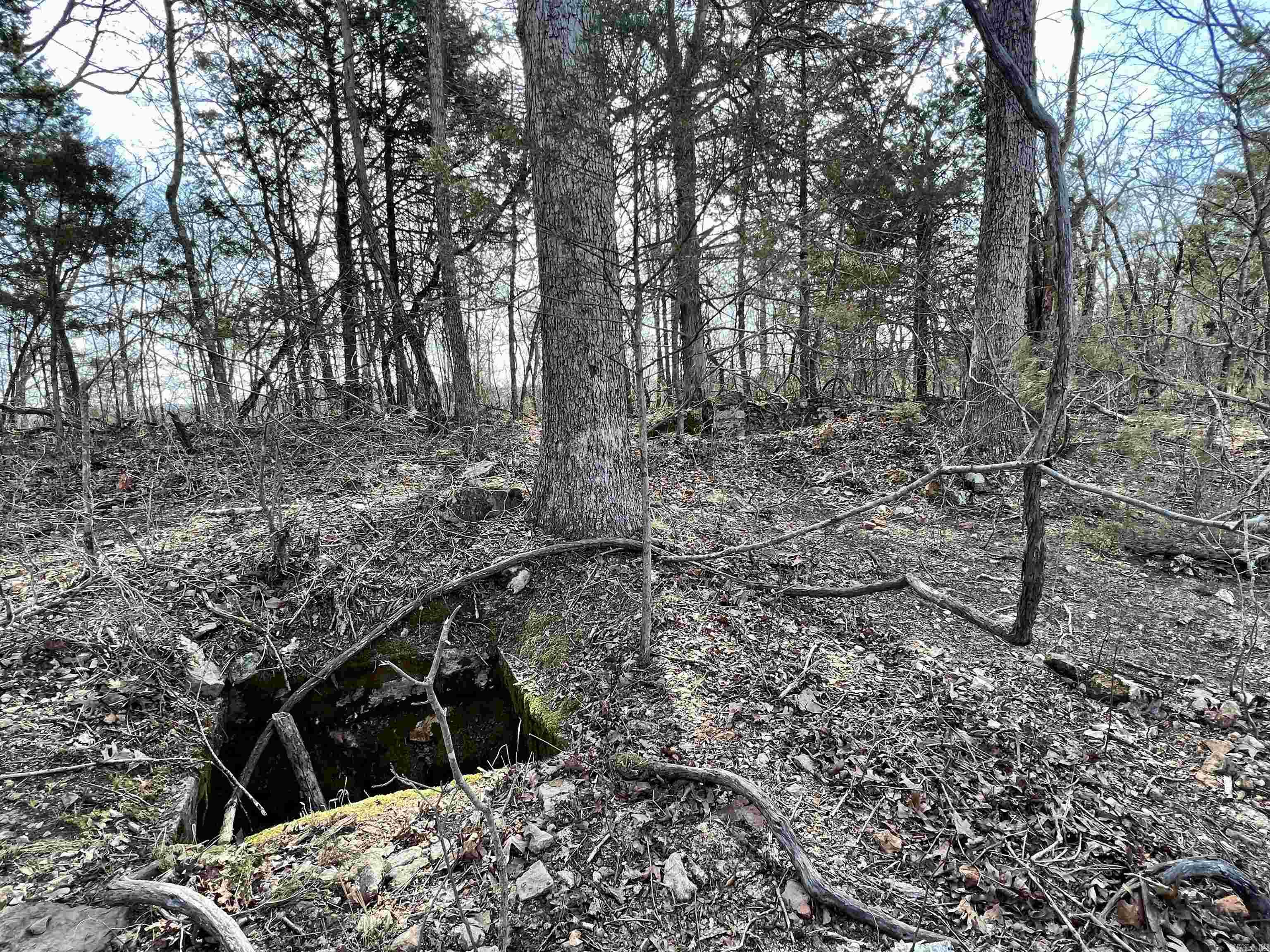 Tract 5 Ramblewood Trail Property Photo 37