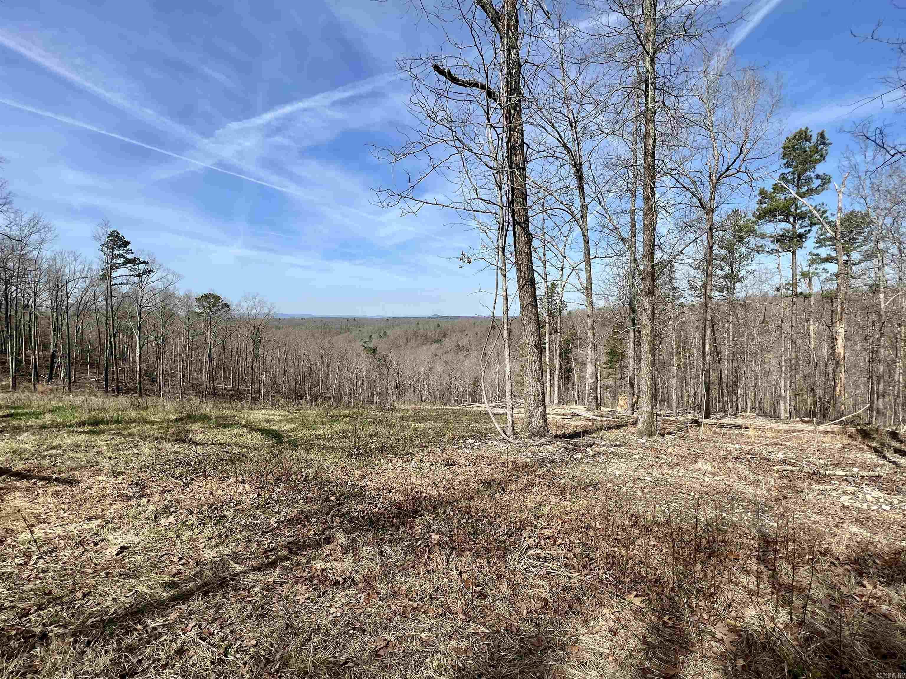 Tract 5 Ramblewood Trail Property Photo 45