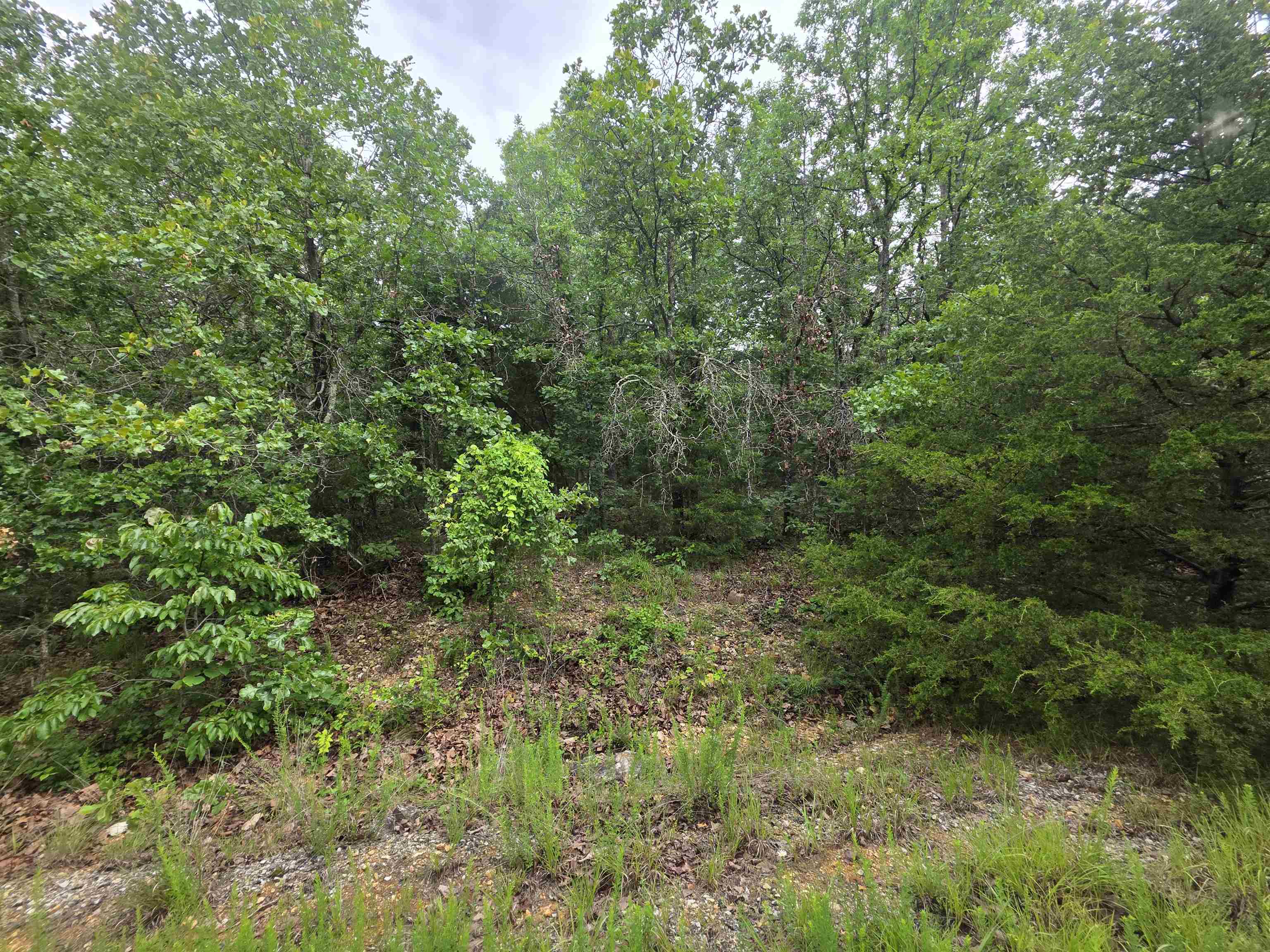 L-10, B-4 Arizonac Drive Property Photo 1