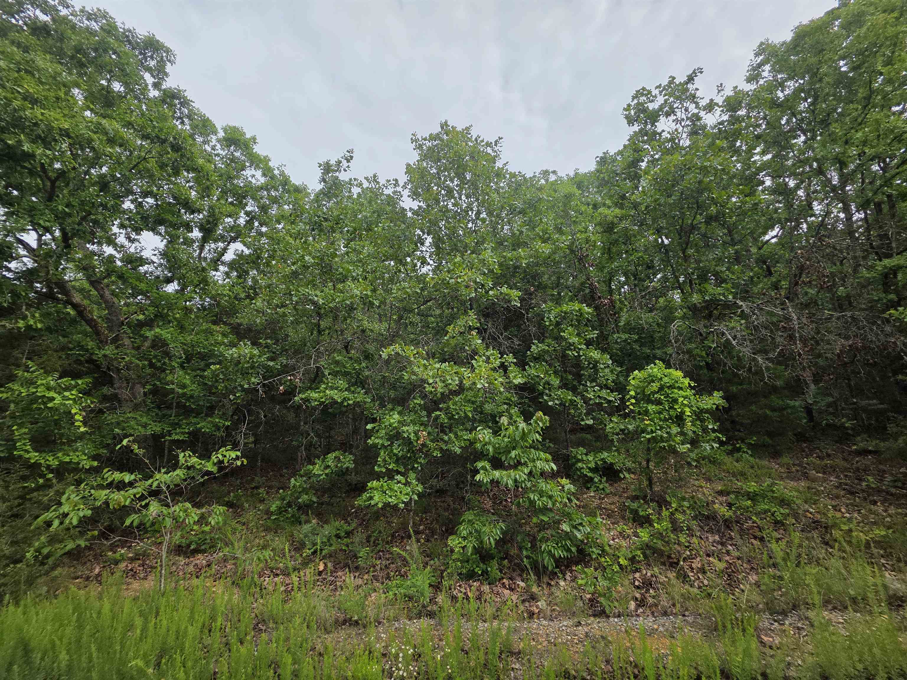 L-10, B-4 Arizonac Drive Property Photo 2