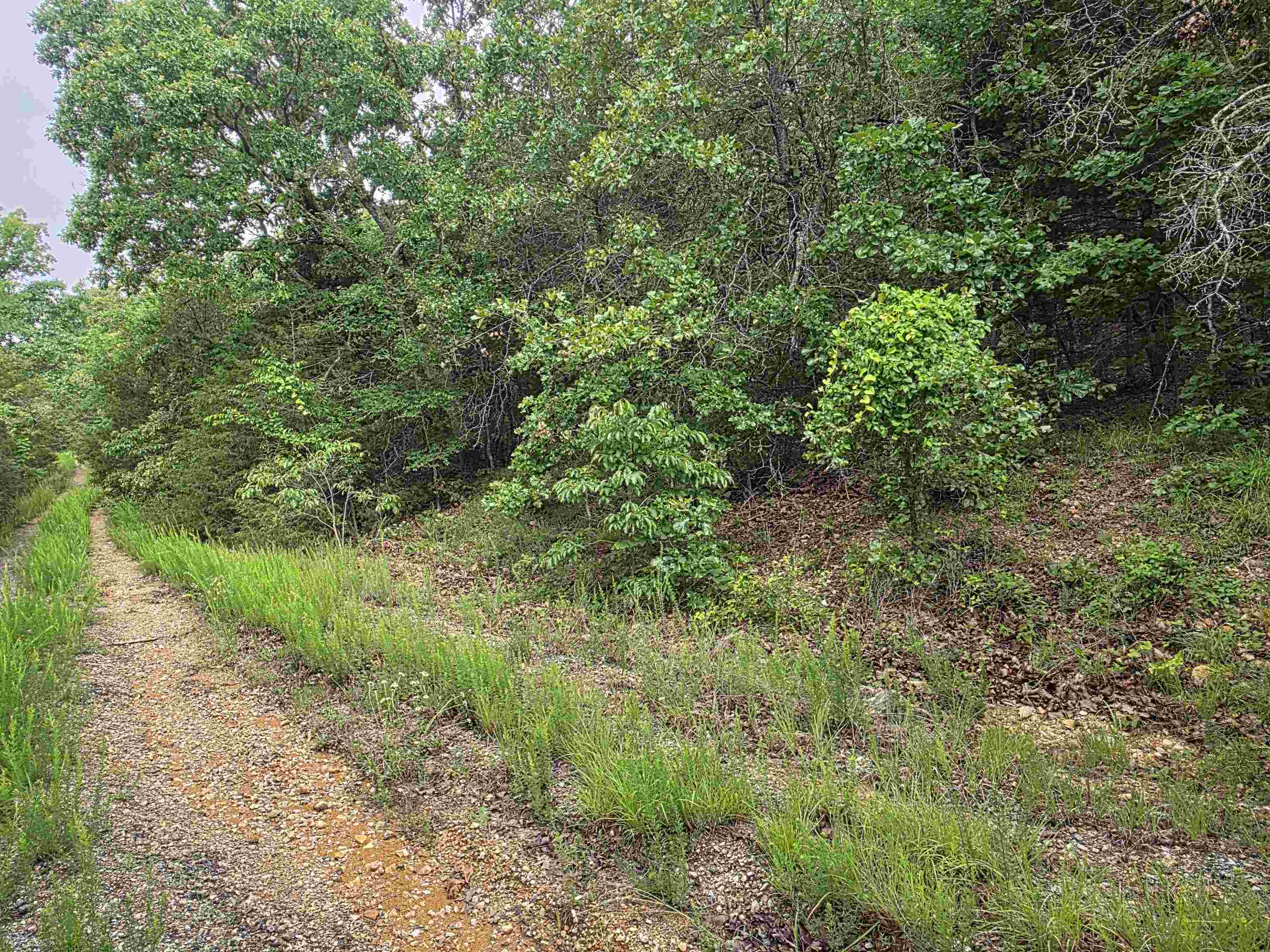 L-10, B-4 Arizonac Drive Property Photo 3