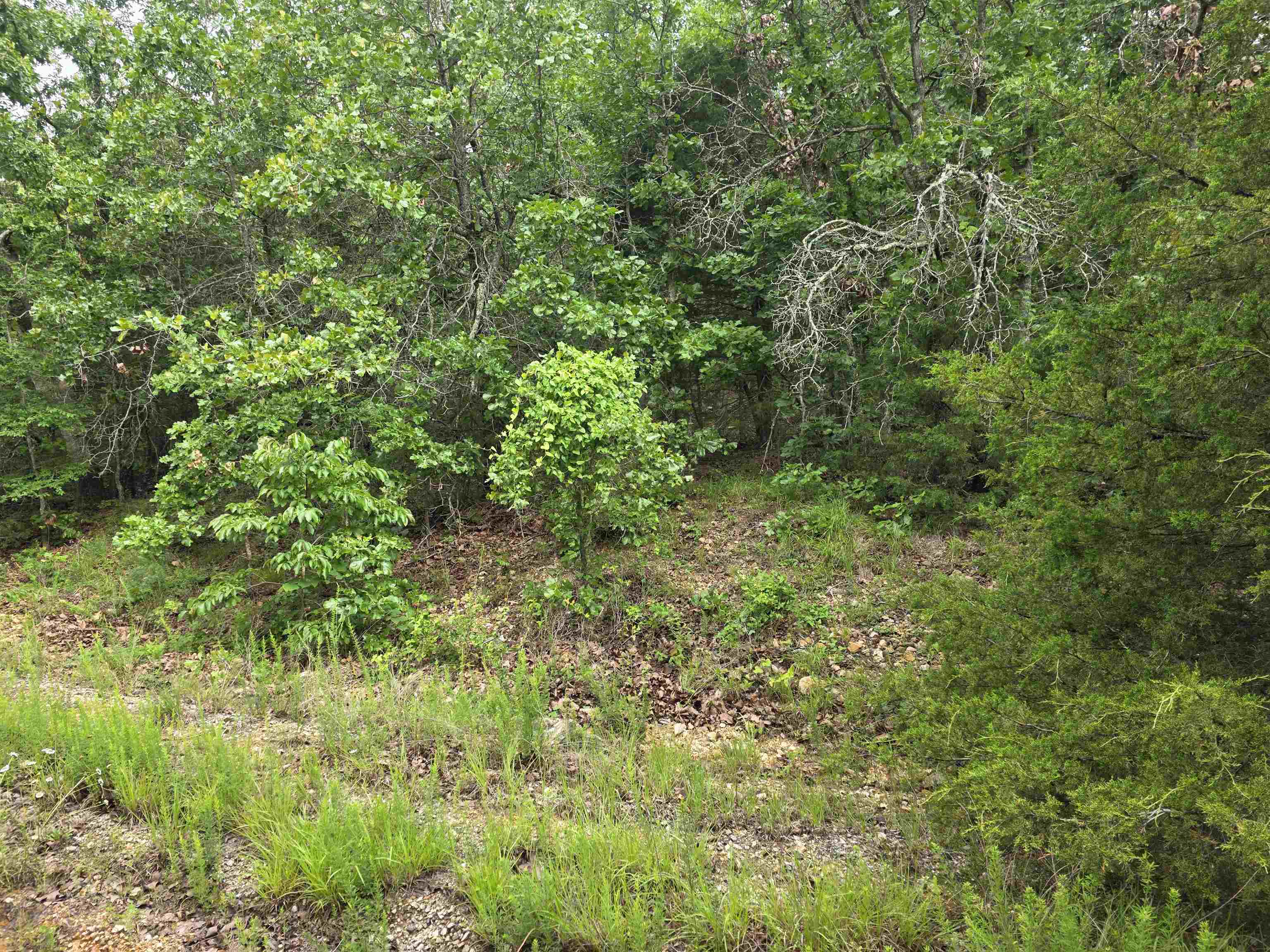 L-10, B-4 Arizonac Drive Property Photo 5
