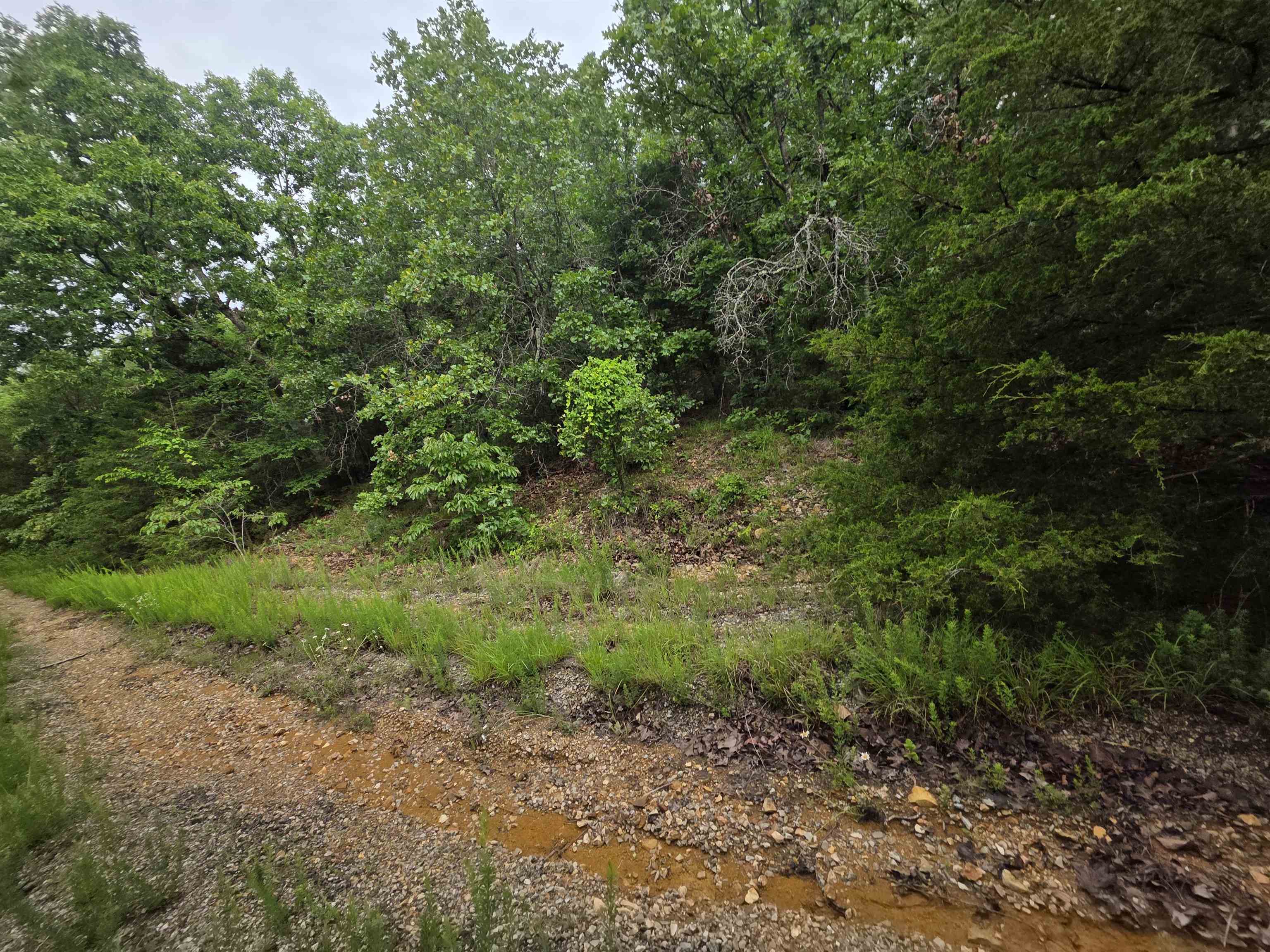 L-10, B-4 Arizonac Drive Property Photo 6
