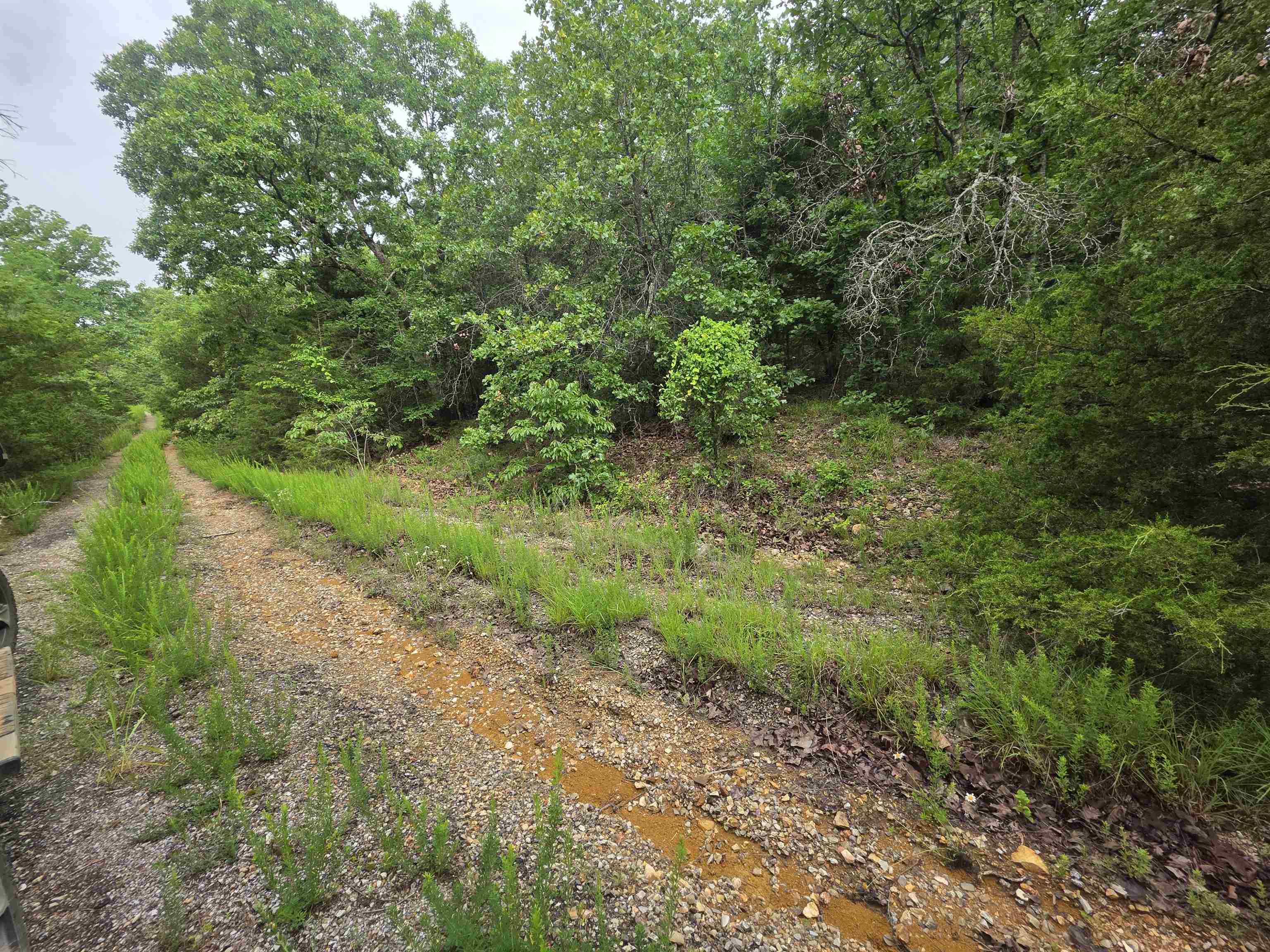 L-10, B-4 Arizonac Drive Property Photo 7