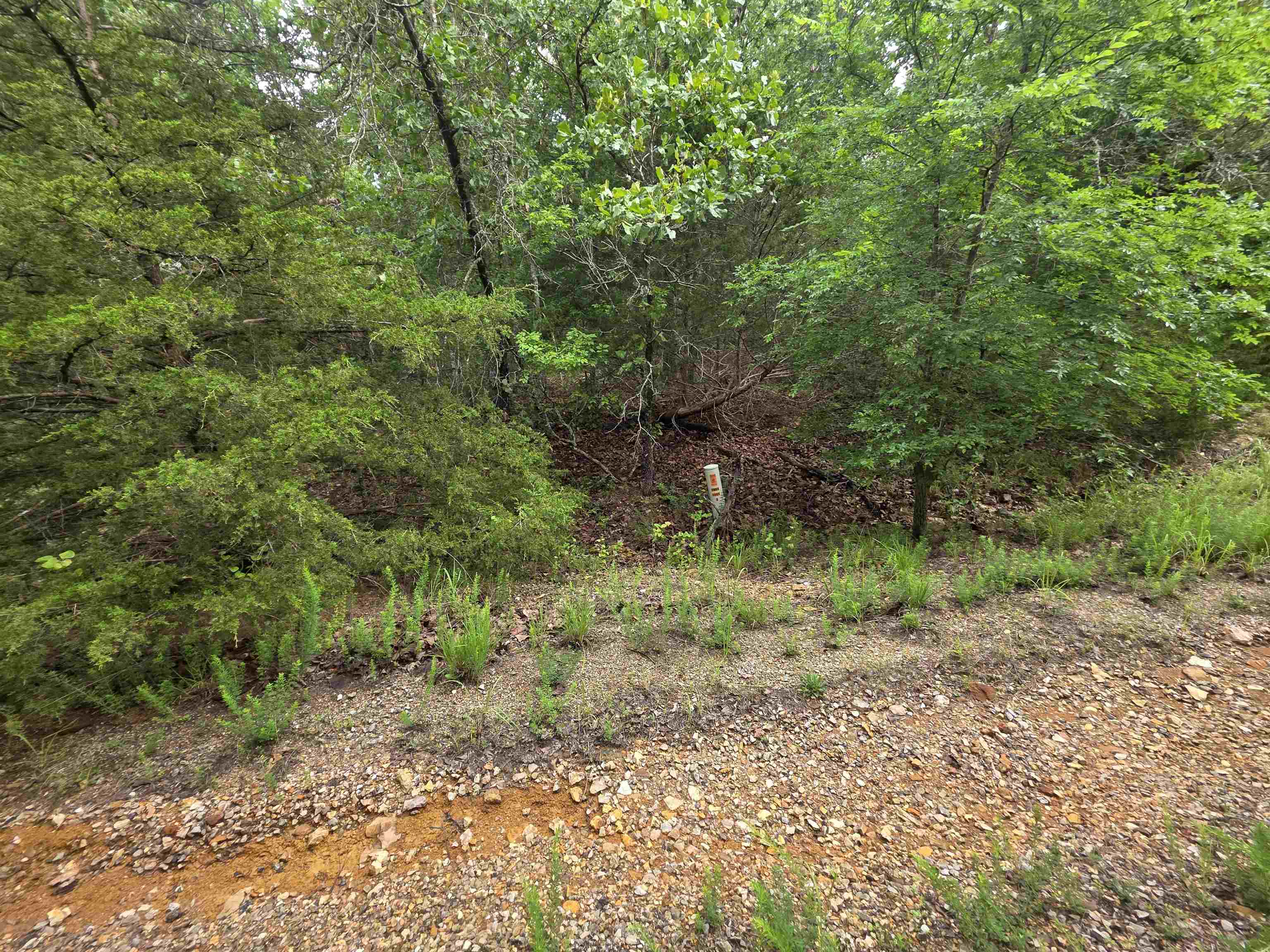 L-10, B-4 Arizonac Drive Property Photo 8