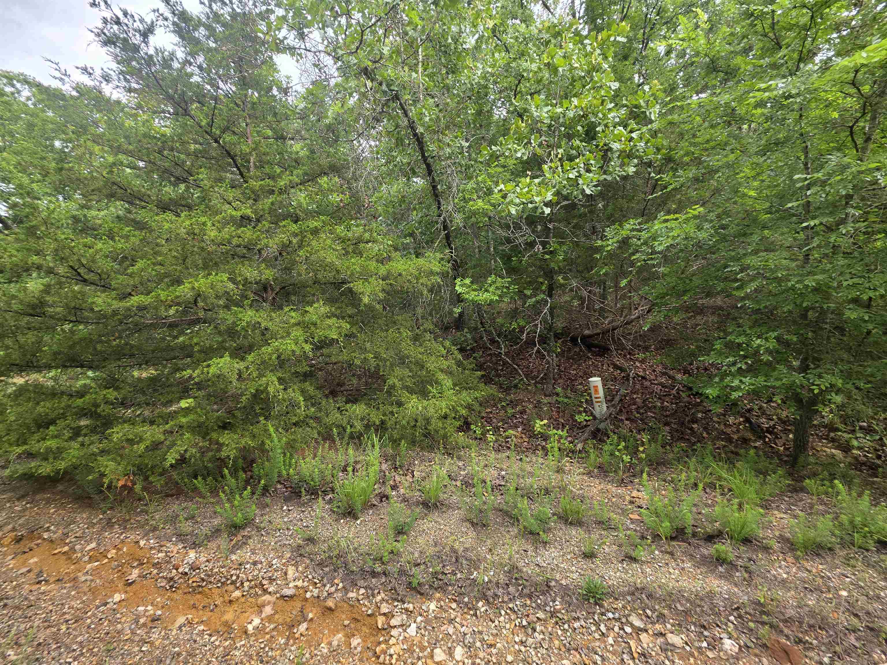 L-10, B-4 Arizonac Drive Property Photo 9