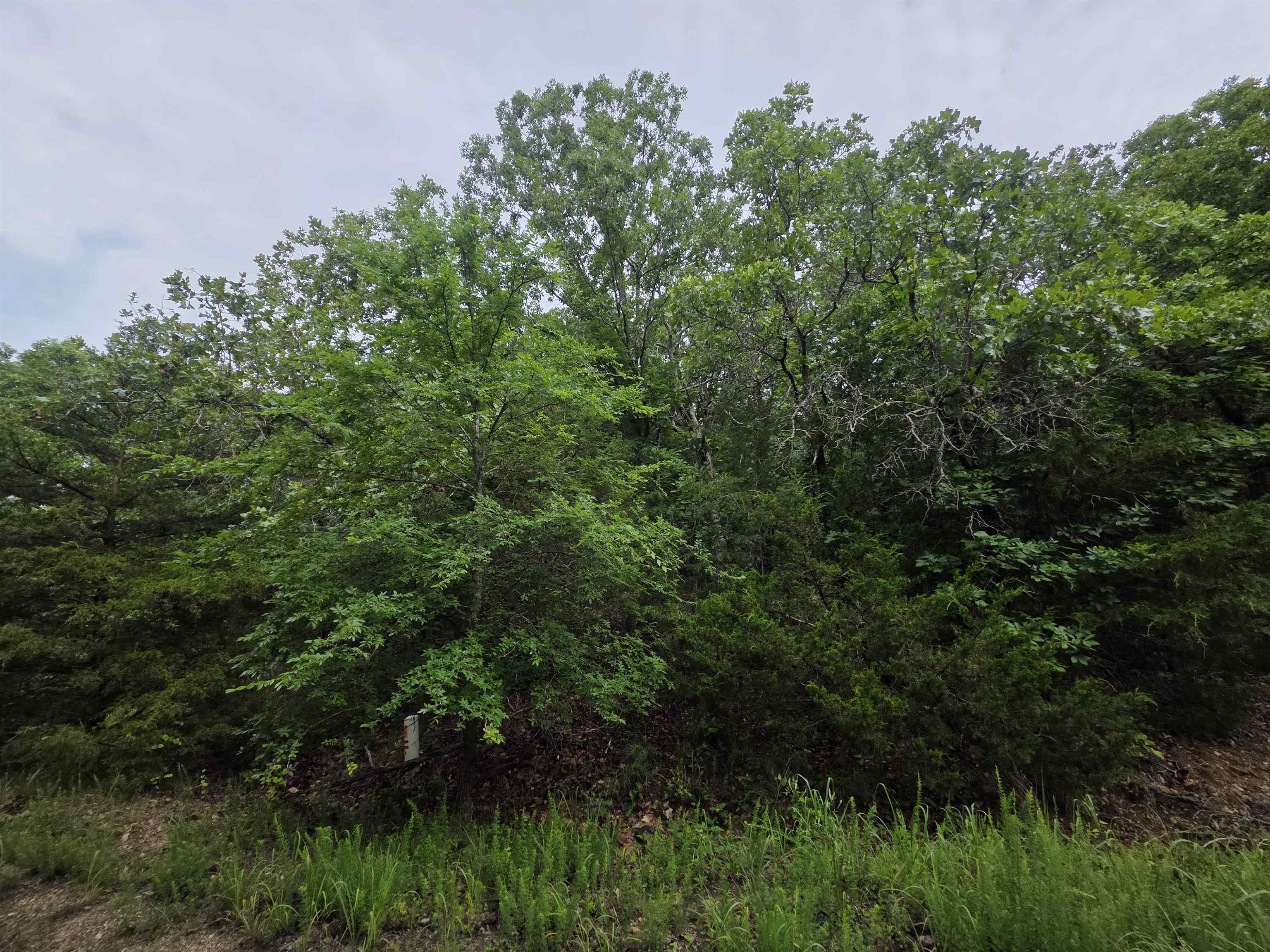 L-10, B-4 Arizonac Drive Property Photo 10