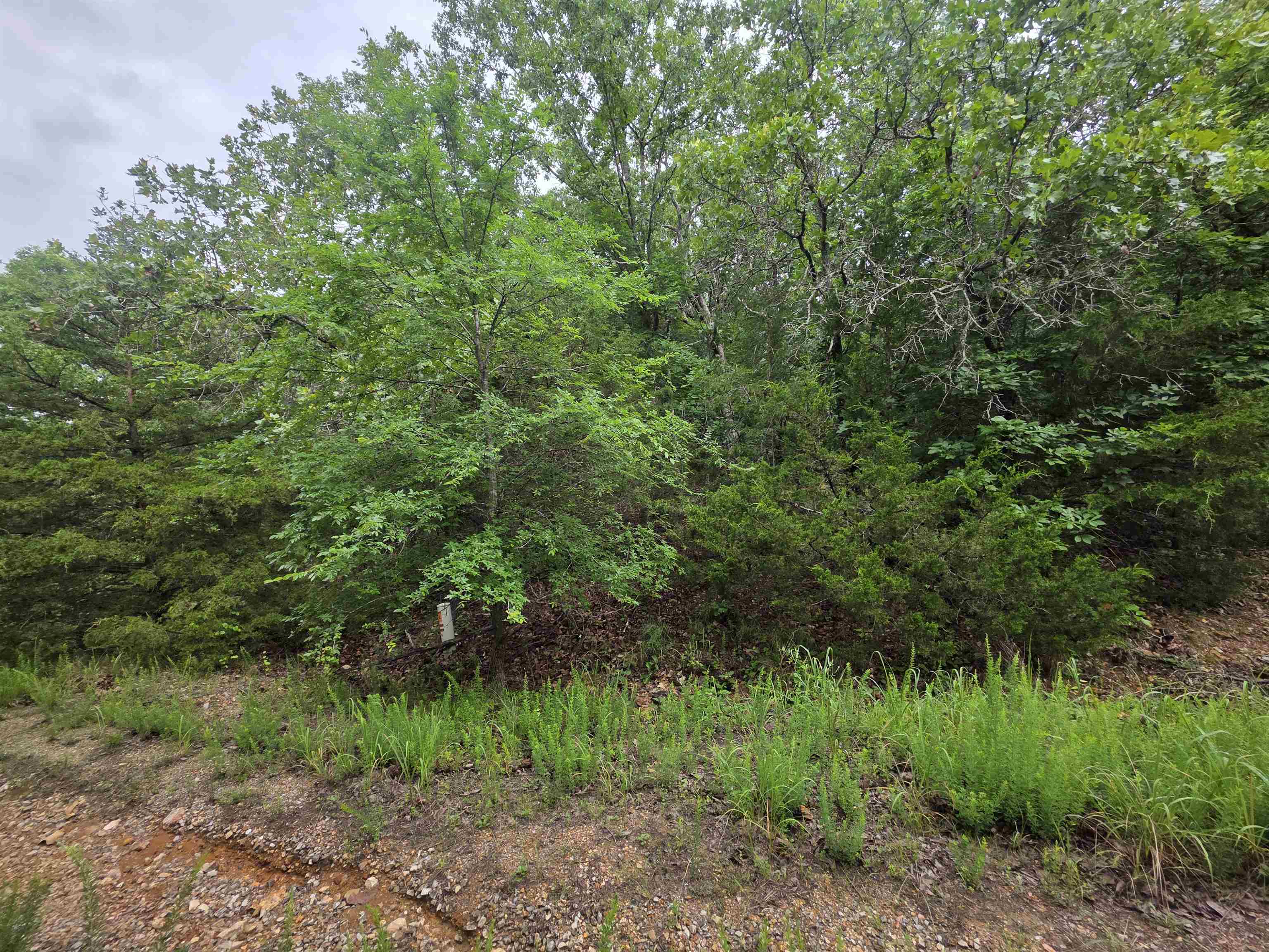 L-10, B-4 Arizonac Drive Property Photo 11