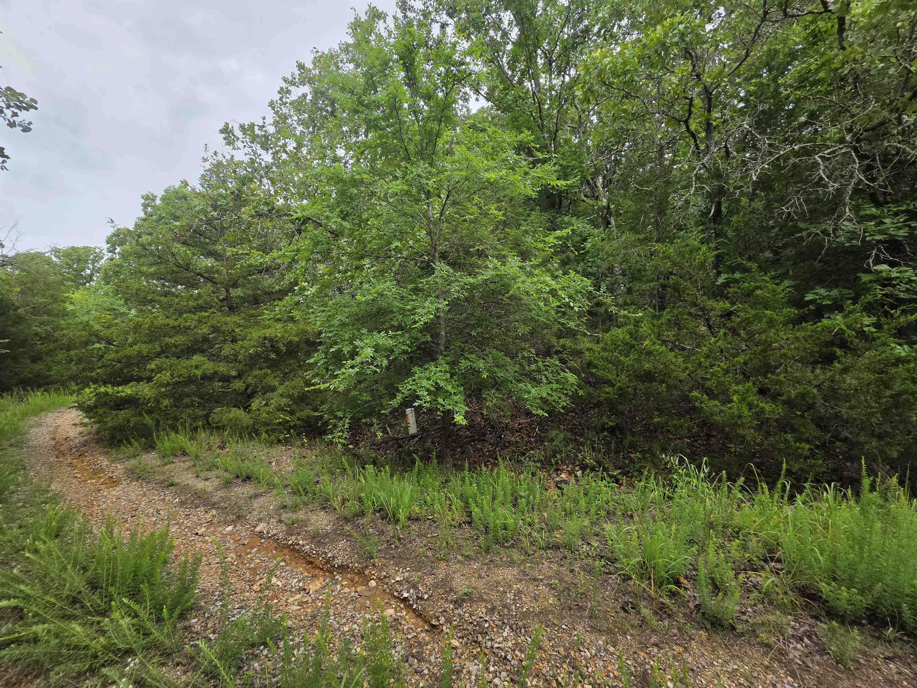 L-10, B-4 Arizonac Drive Property Photo 12