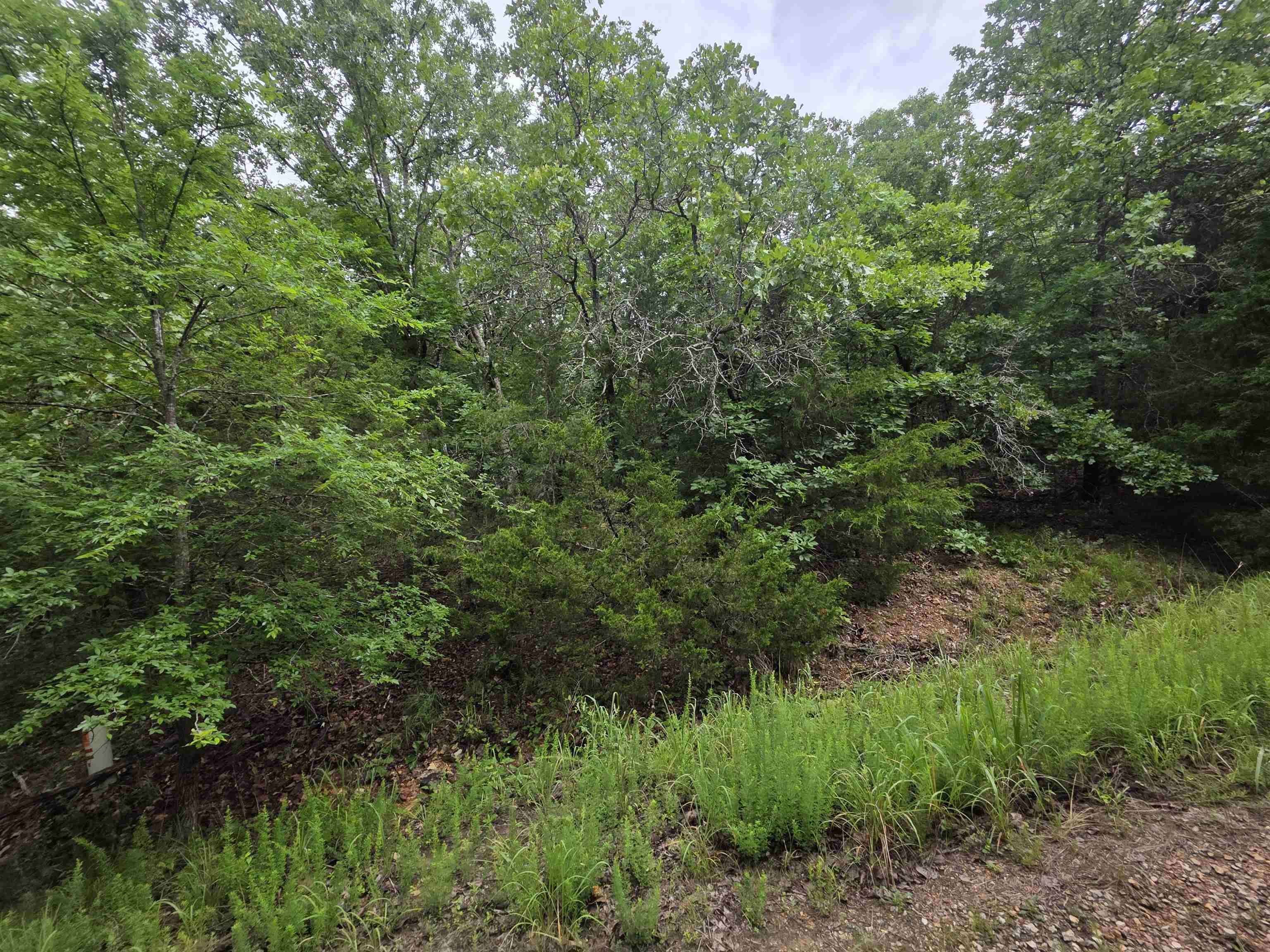 L-10, B-4 Arizonac Drive Property Photo 13
