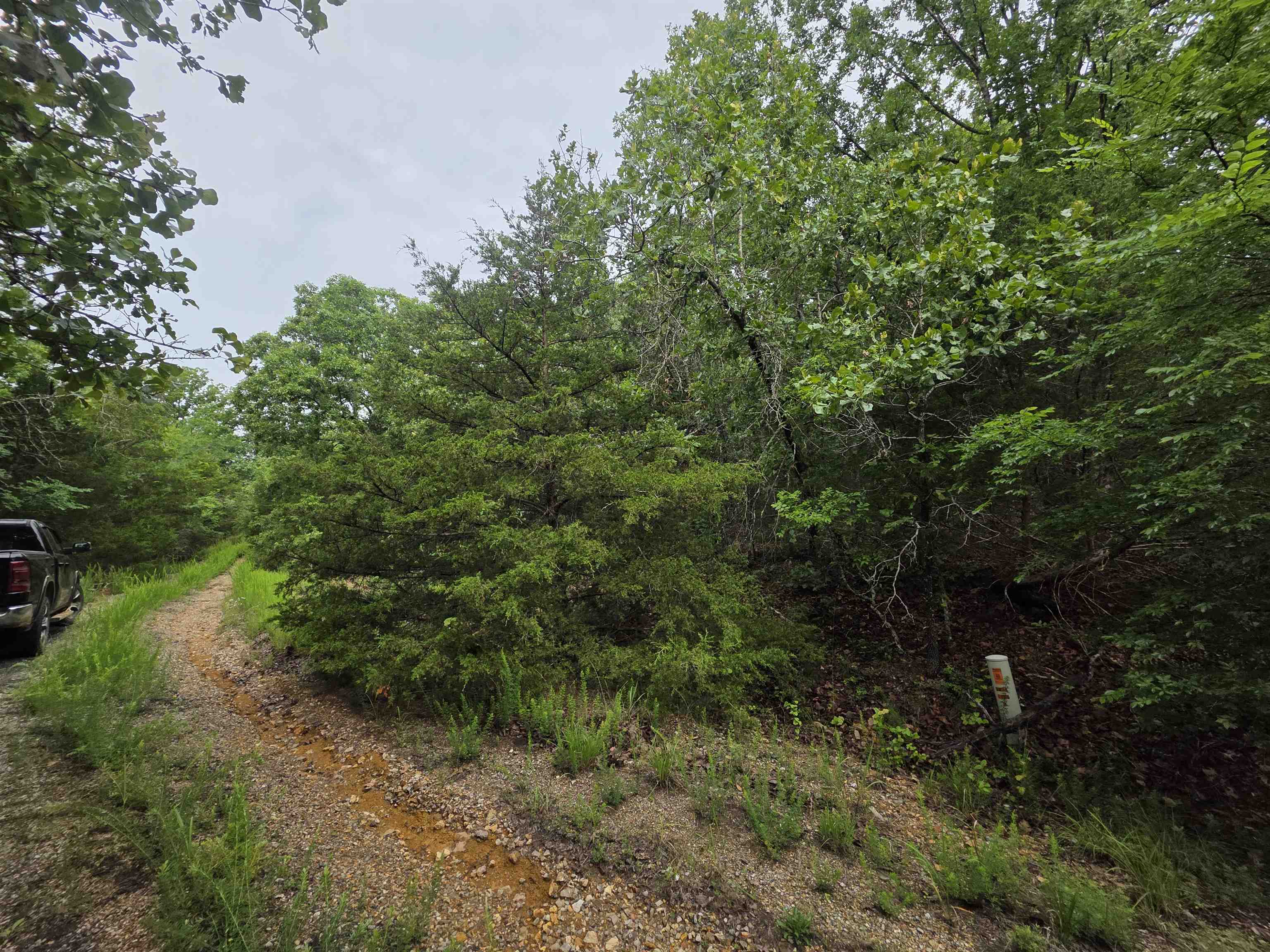 L-10, B-4 Arizonac Drive Property Photo 14