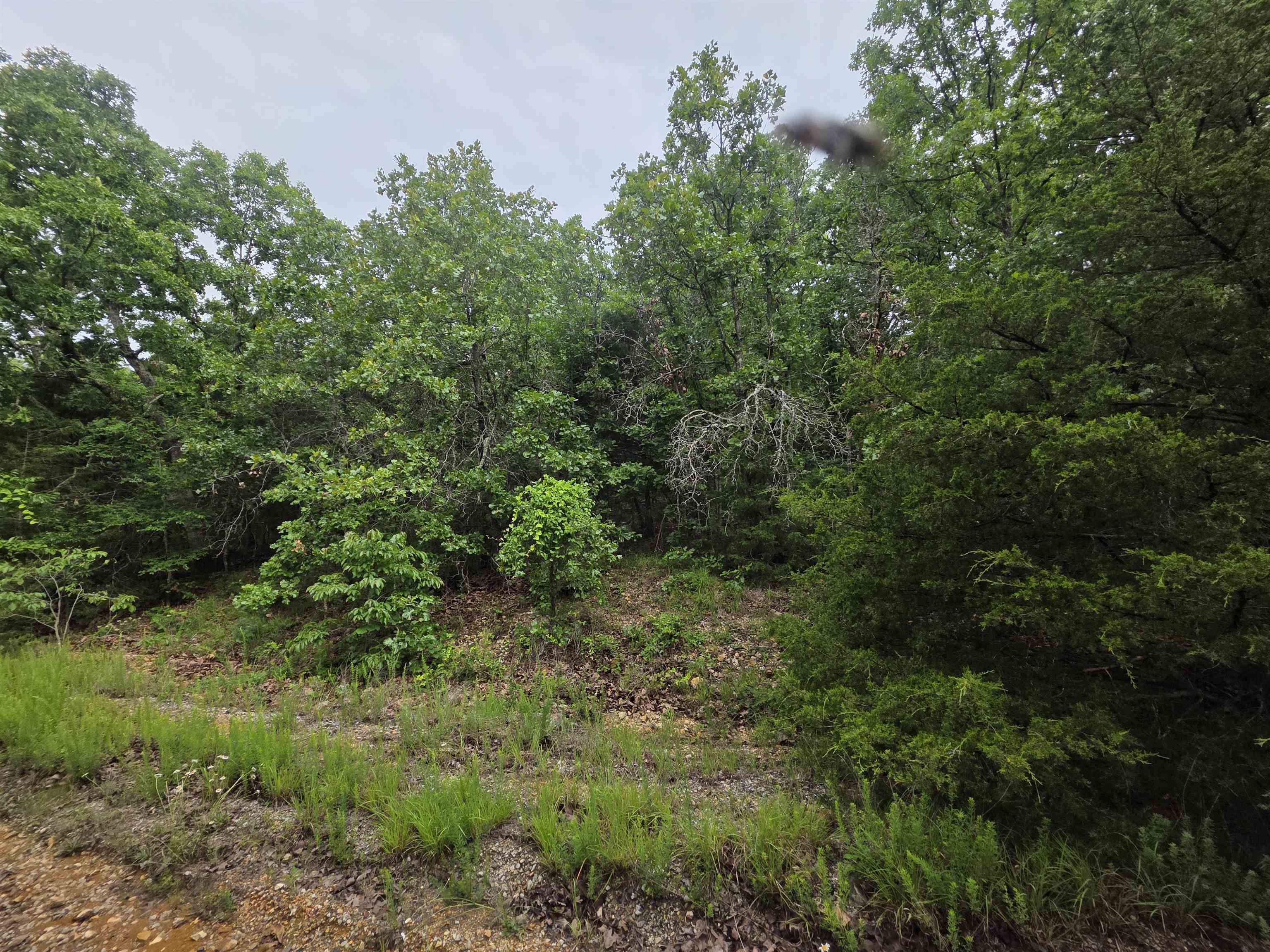 L-10, B-4 Arizonac Drive Property Photo 15