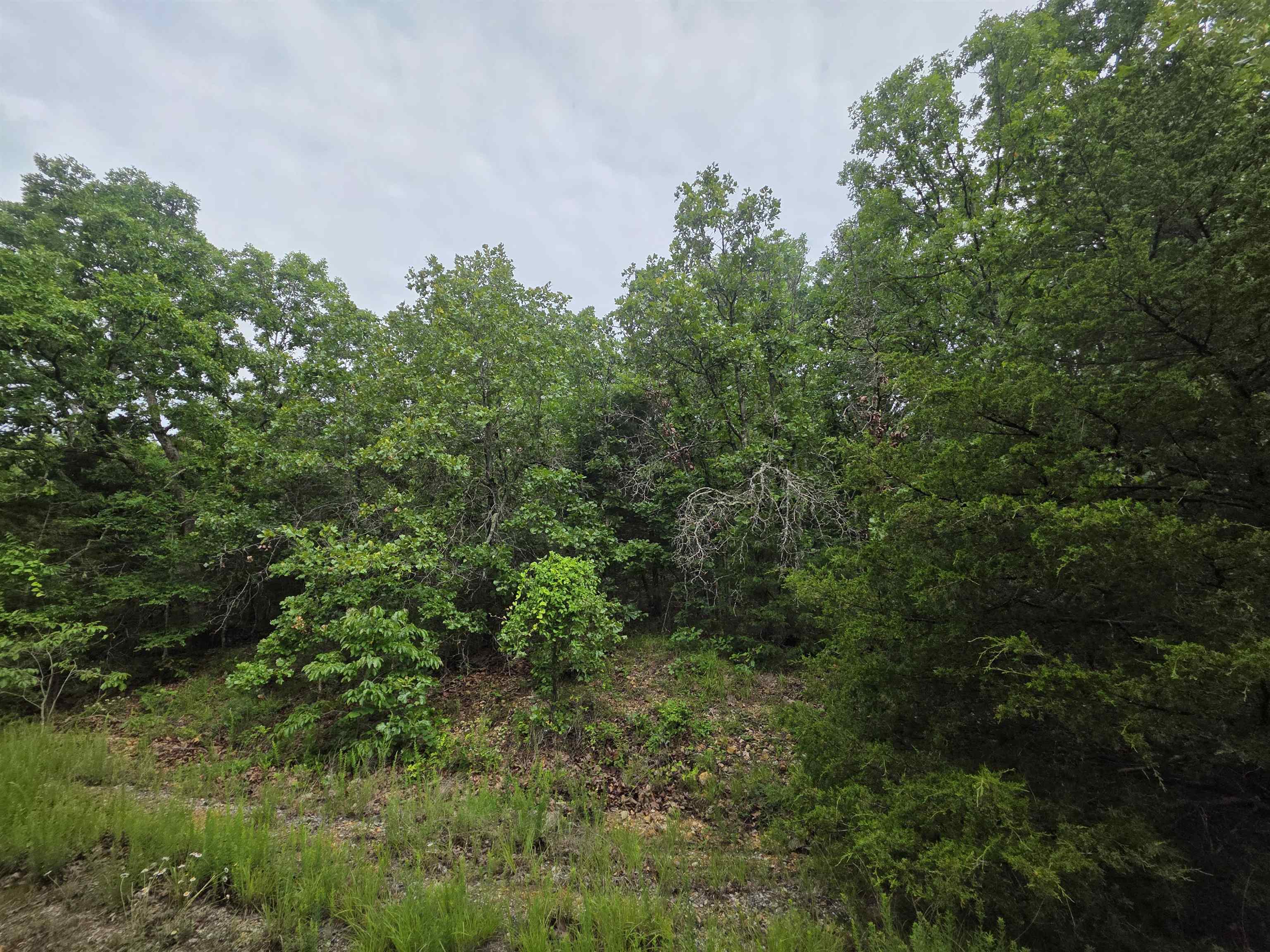 L-10, B-4 Arizonac Drive Property Photo 17