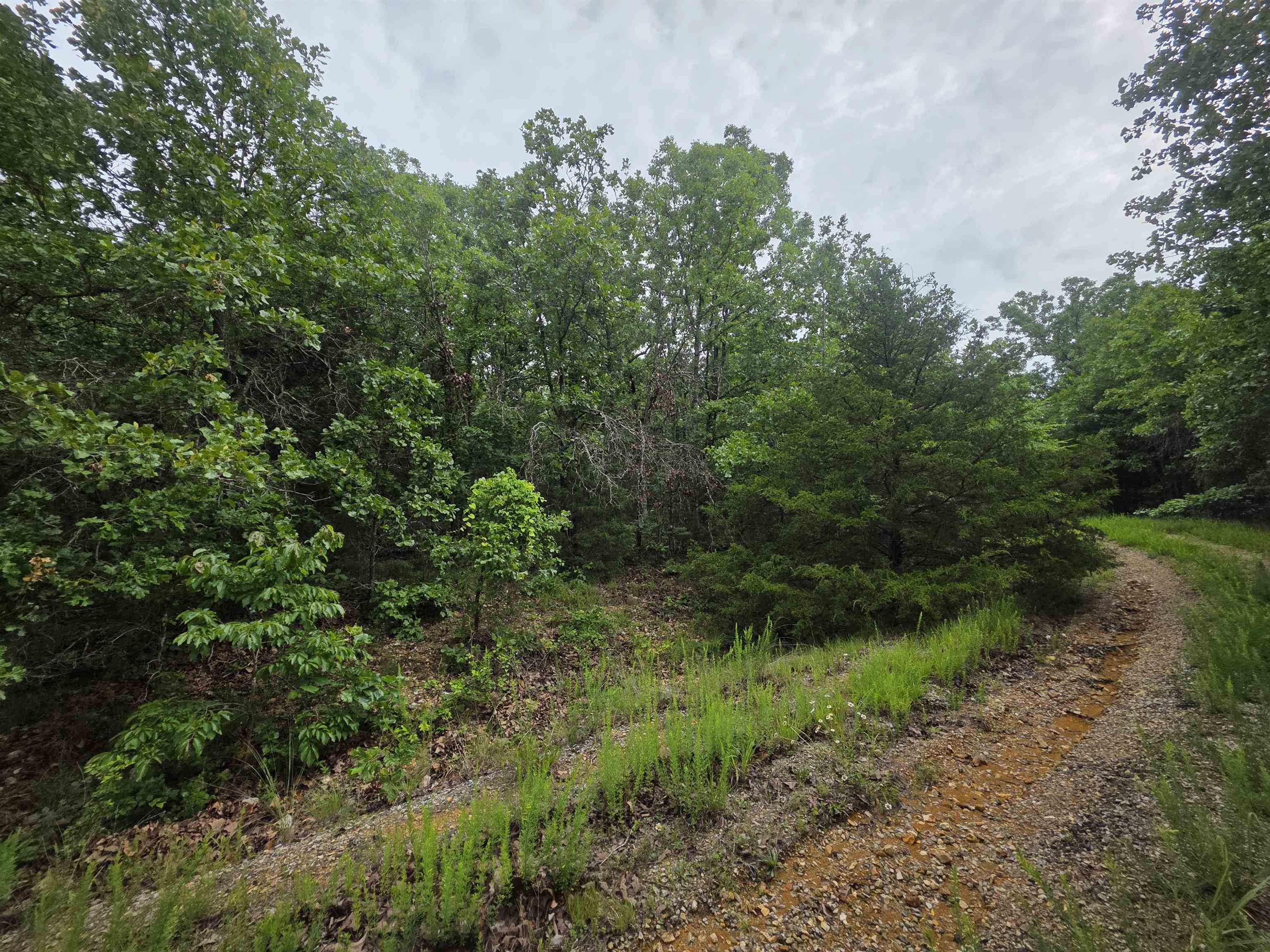 L-10, B-4 Arizonac Drive Property Photo 18