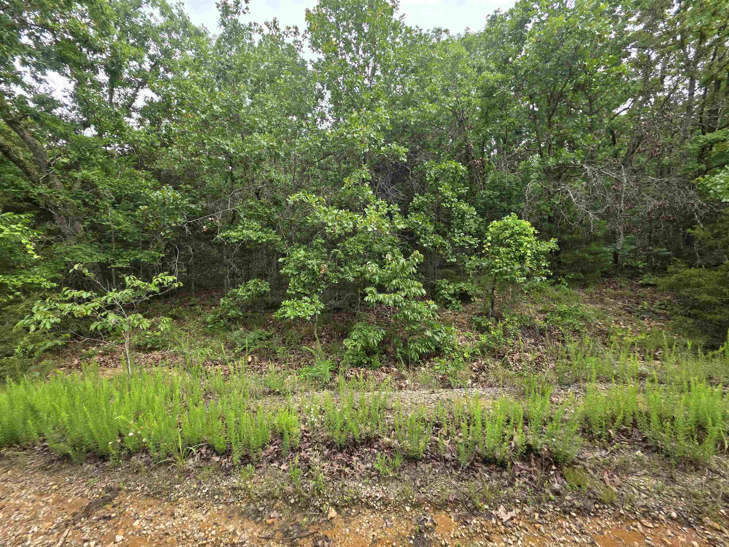L-10, B-4 Arizonac Drive Property Photo 19