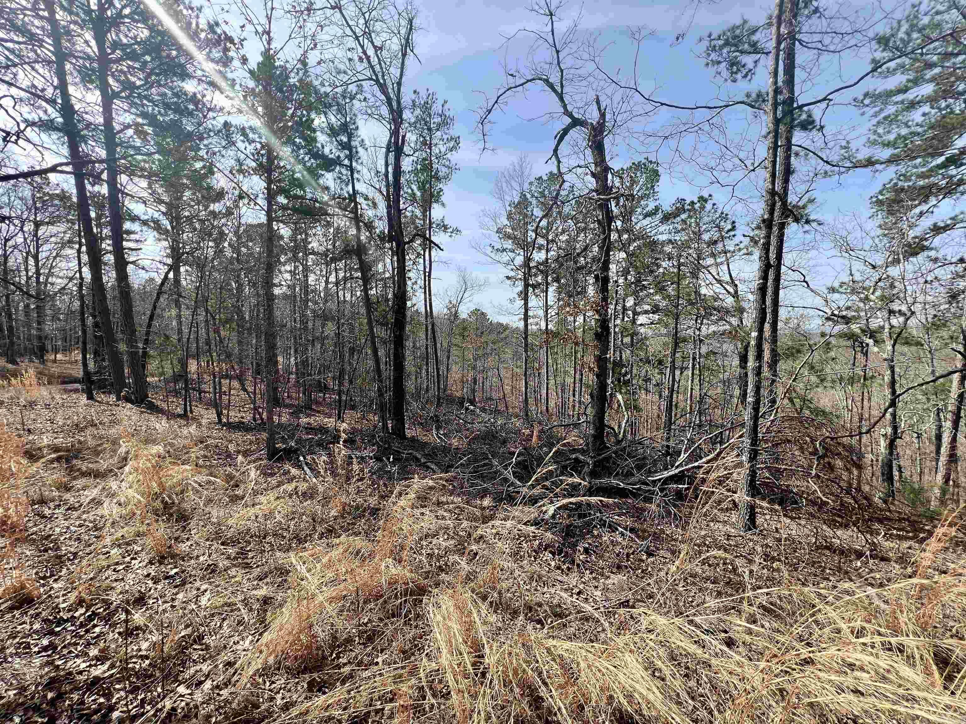 Tract 6 Ramblewood Trail Property Photo 6