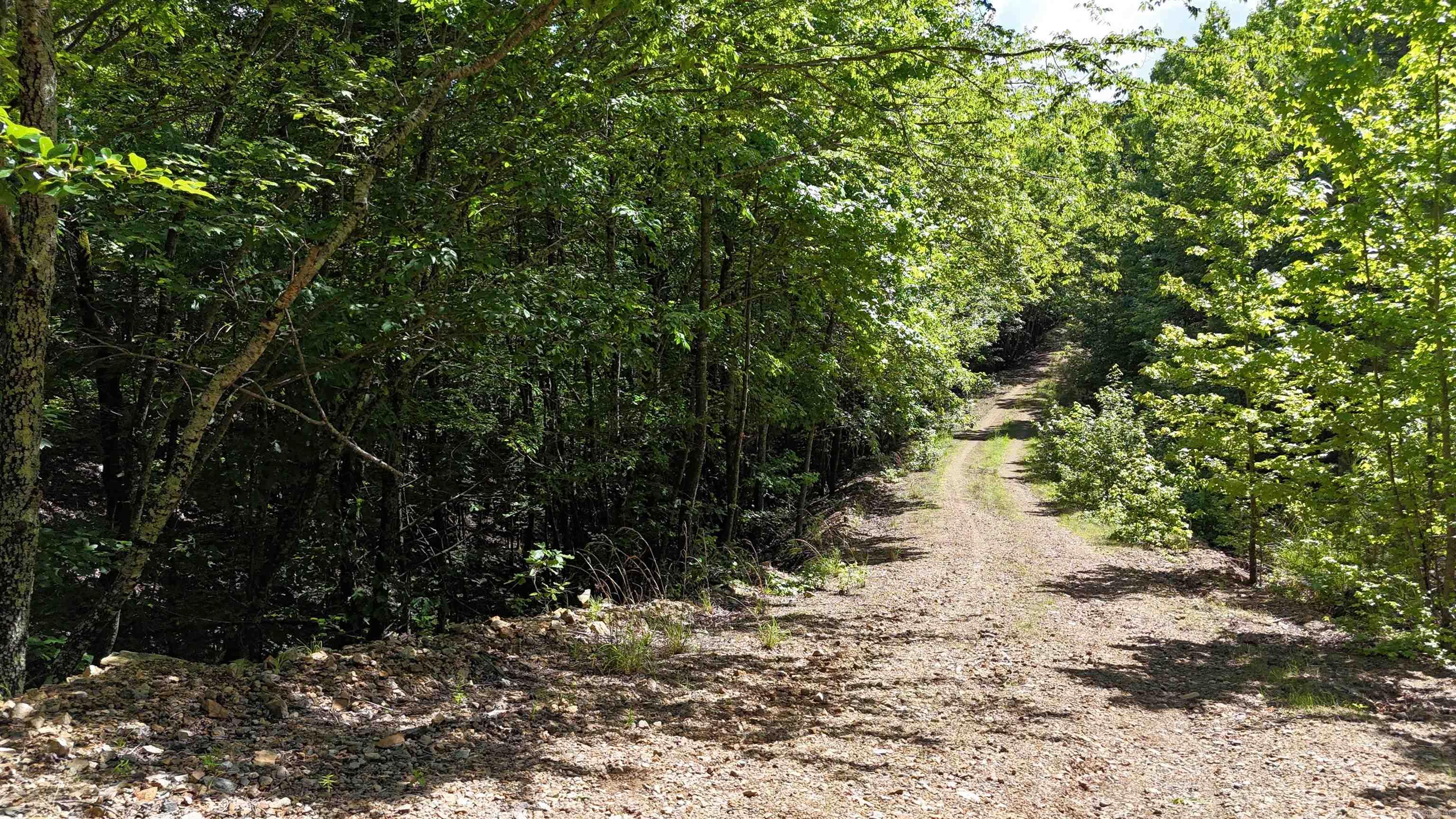 000 Mt Laurel Property Photo 14