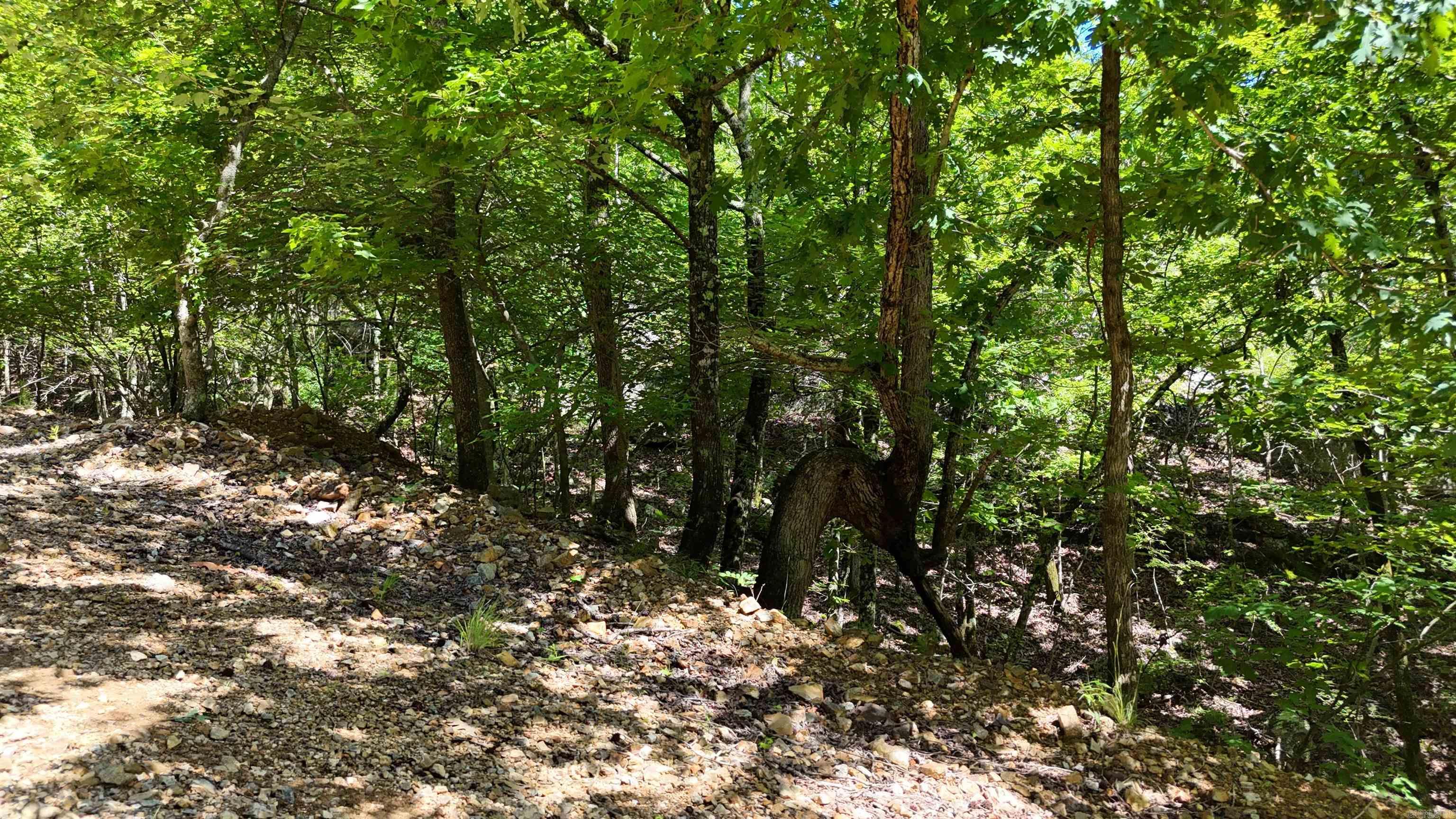 000 Mt Laurel Property Photo 15